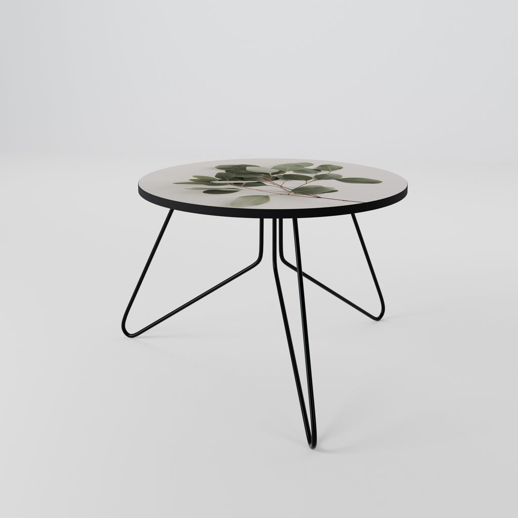 EUCALYPTUS BRANCH Coffee Table 60