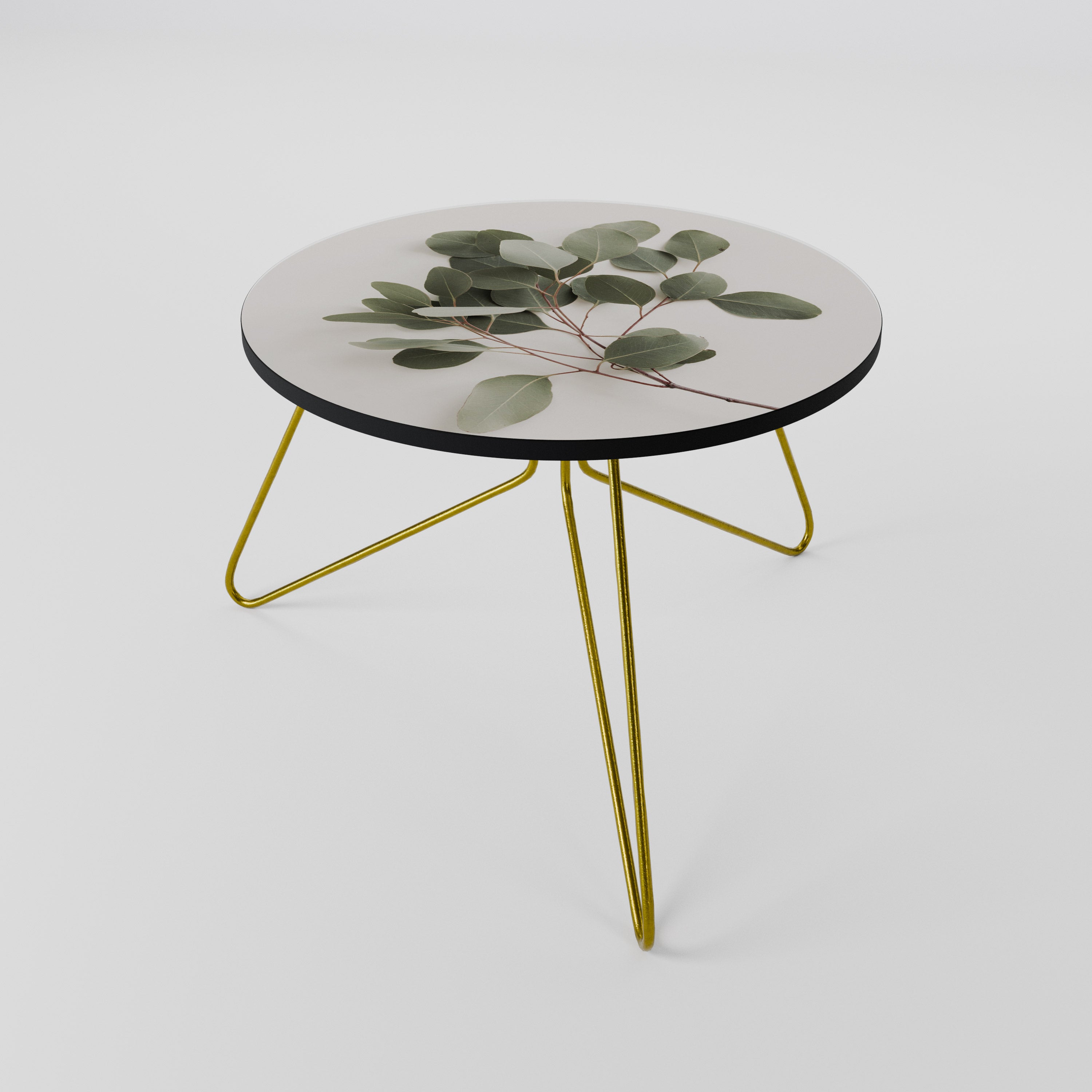 EUCALYPTUS BRANCH Coffee Table 60