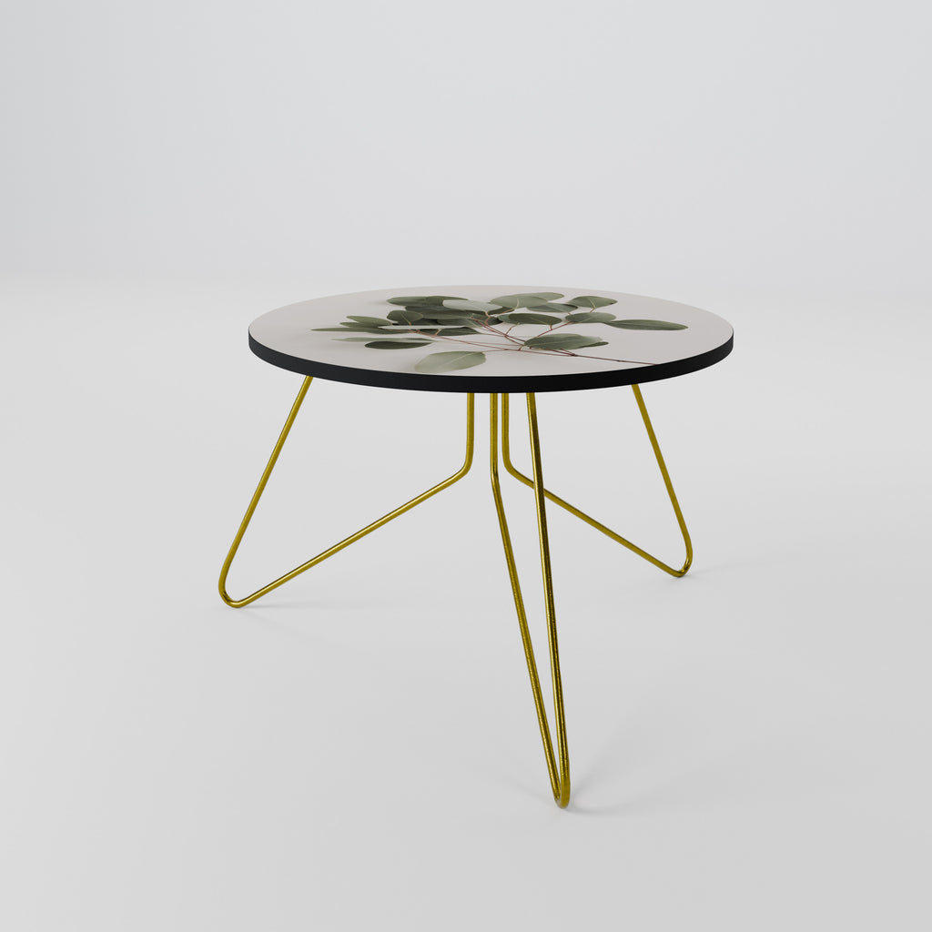 EUCALYPTUS BRANCH Coffee Table 60