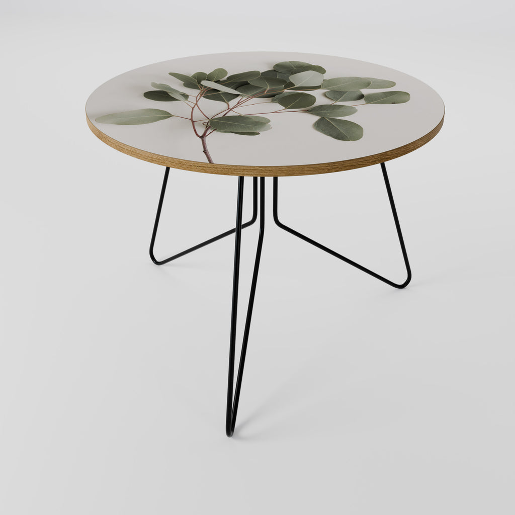 EUCALYPTUS BRANCH Coffee Table 69