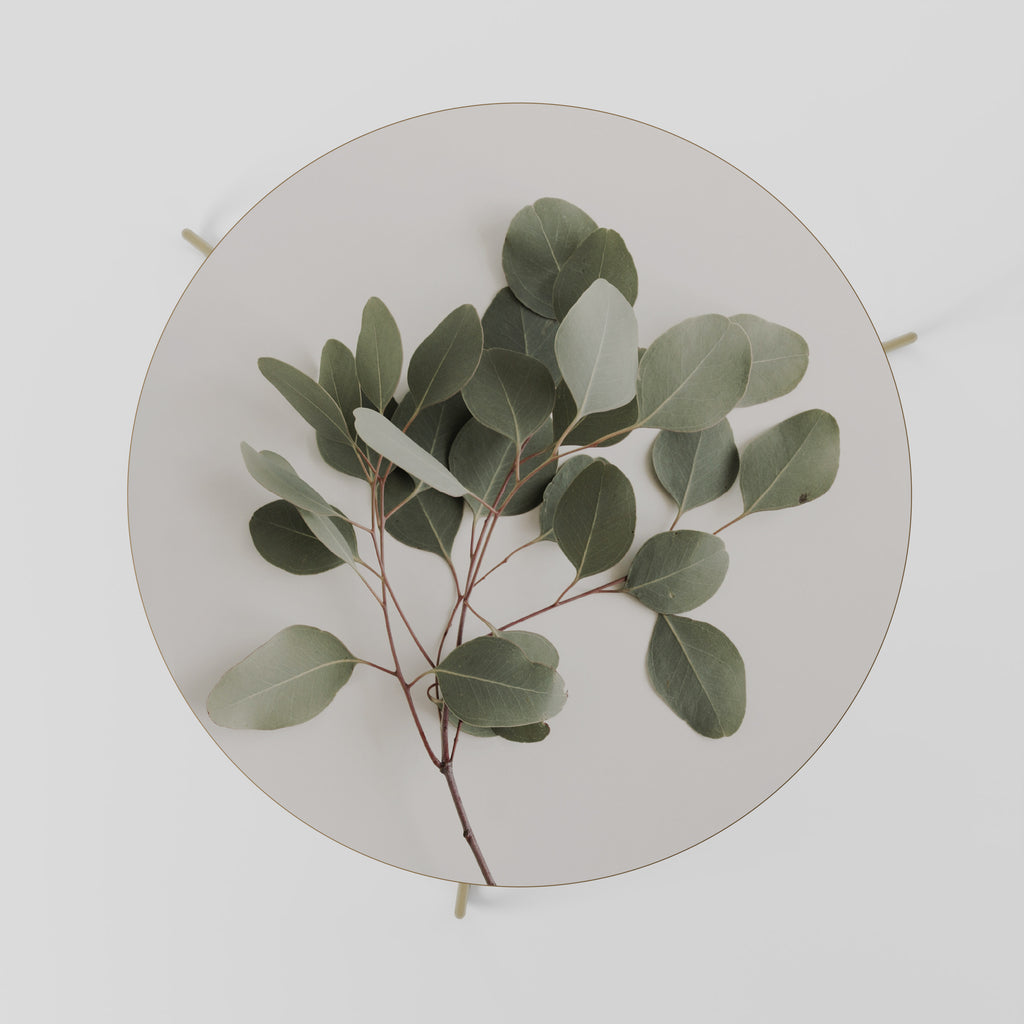 EUCALYPTUS BRANCH Coffee Table 69