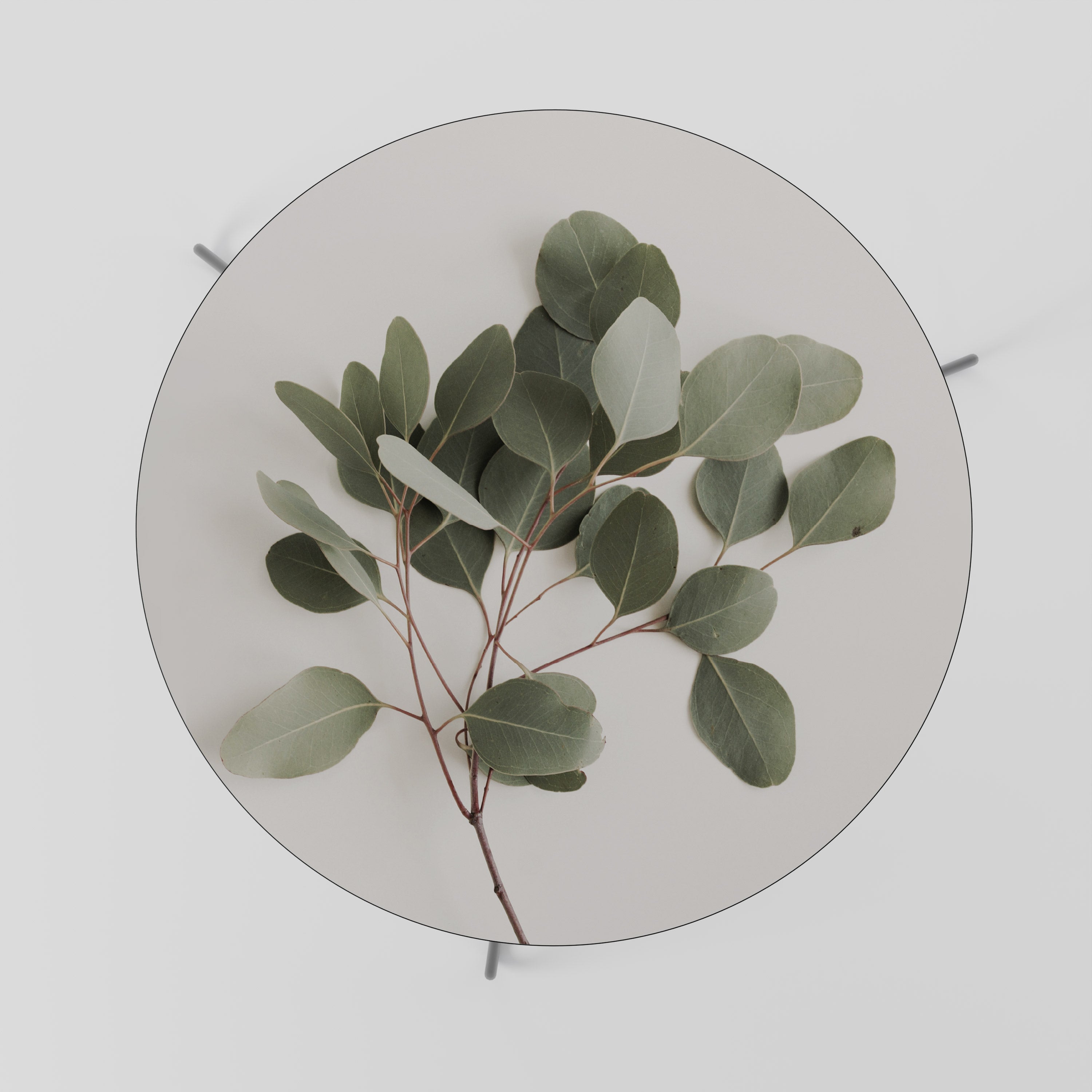 Mesa de centro 69 con rama de eucalipto