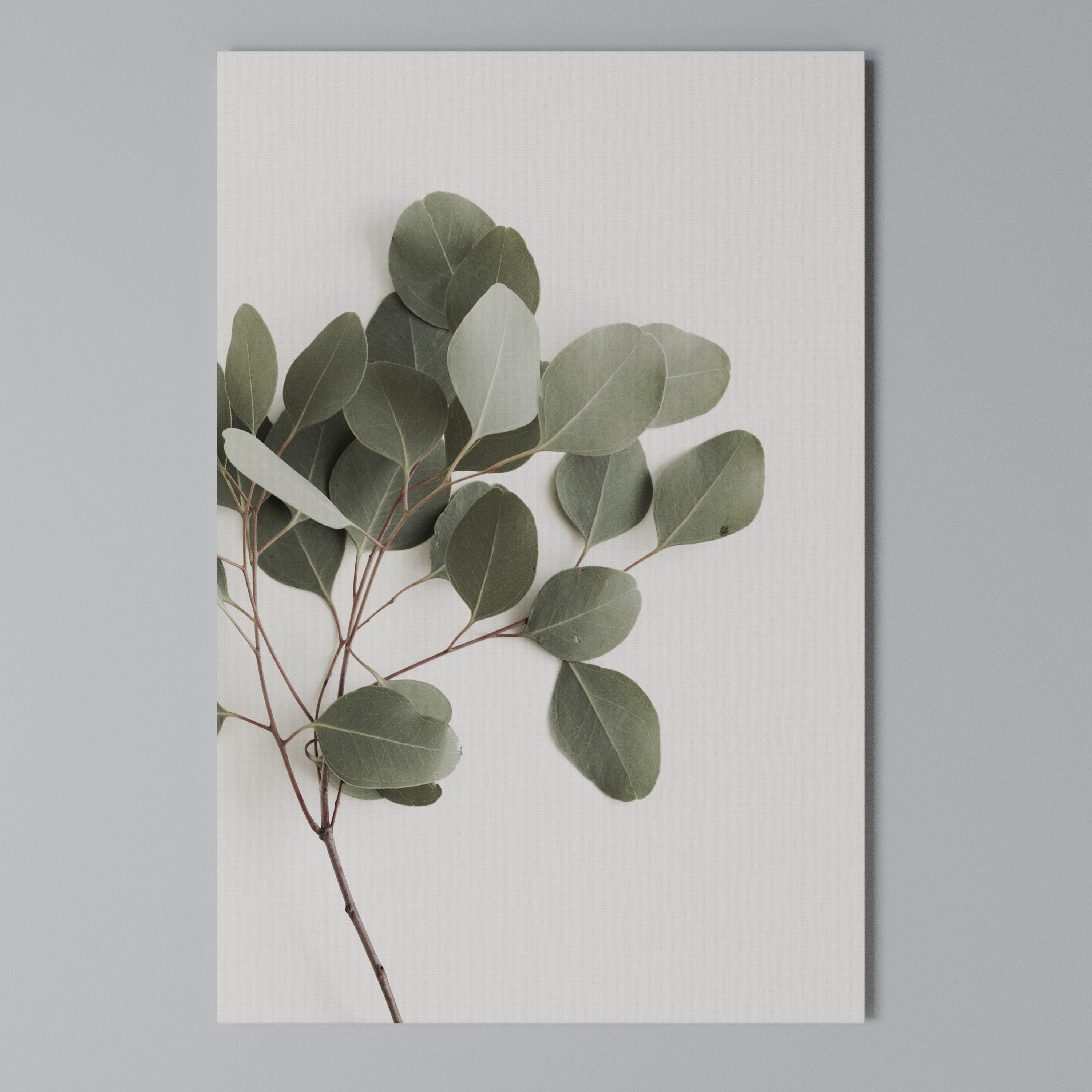 EUCALYPTUS BRANCH Vertical Canvas Print
