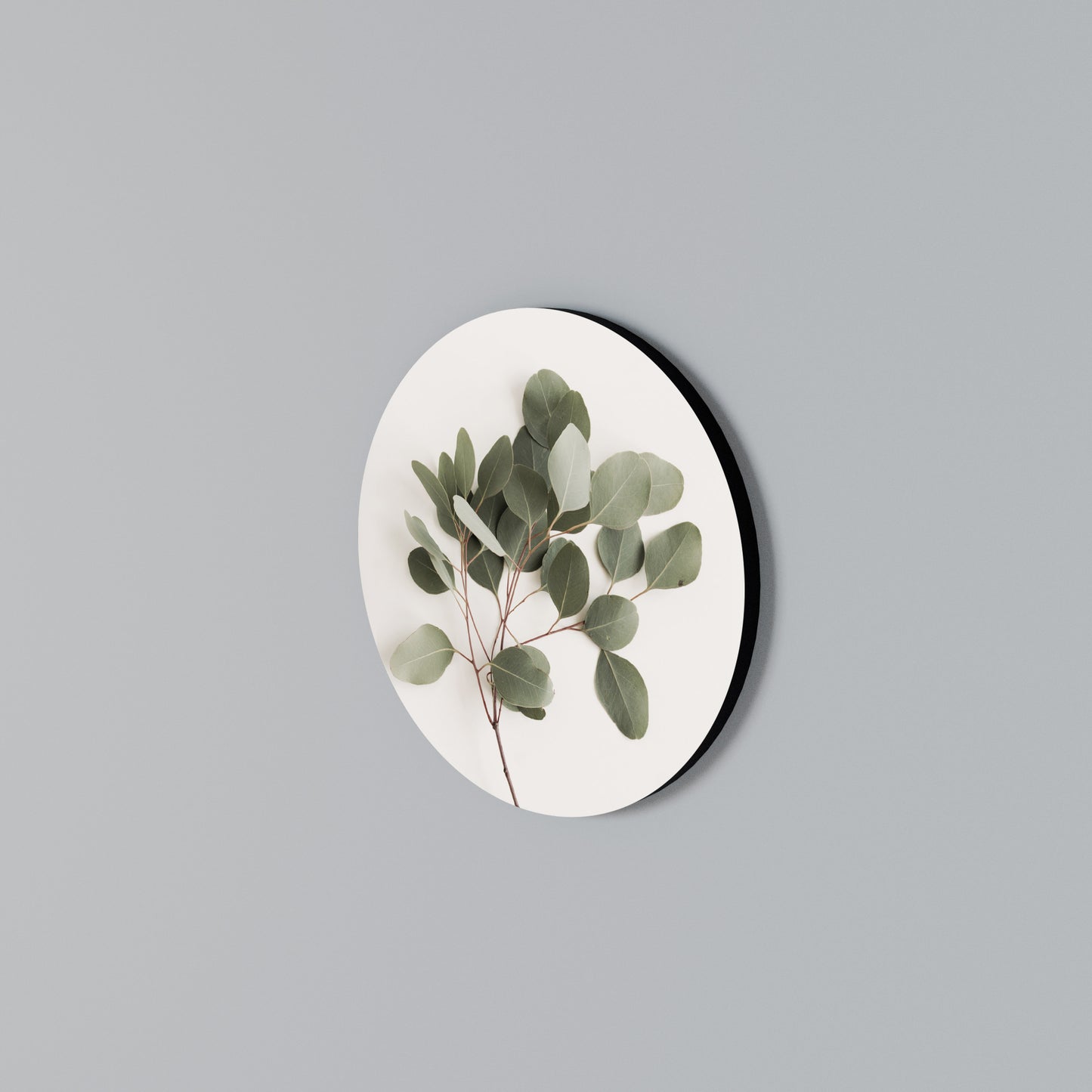EUCALYPTUS BRANCH Arte de pared redondo
