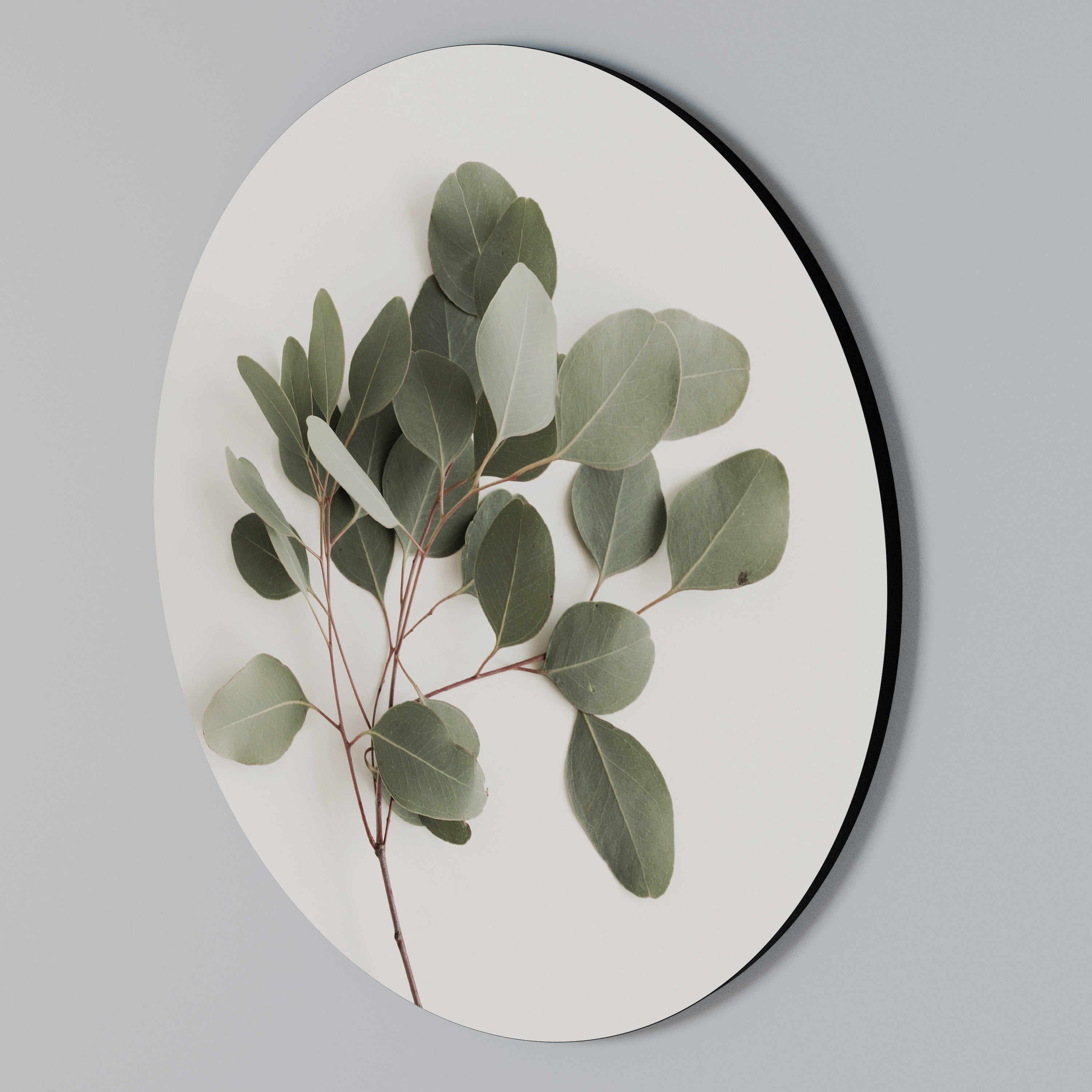 EUCALYPTUS BRANCH Round Wall Art