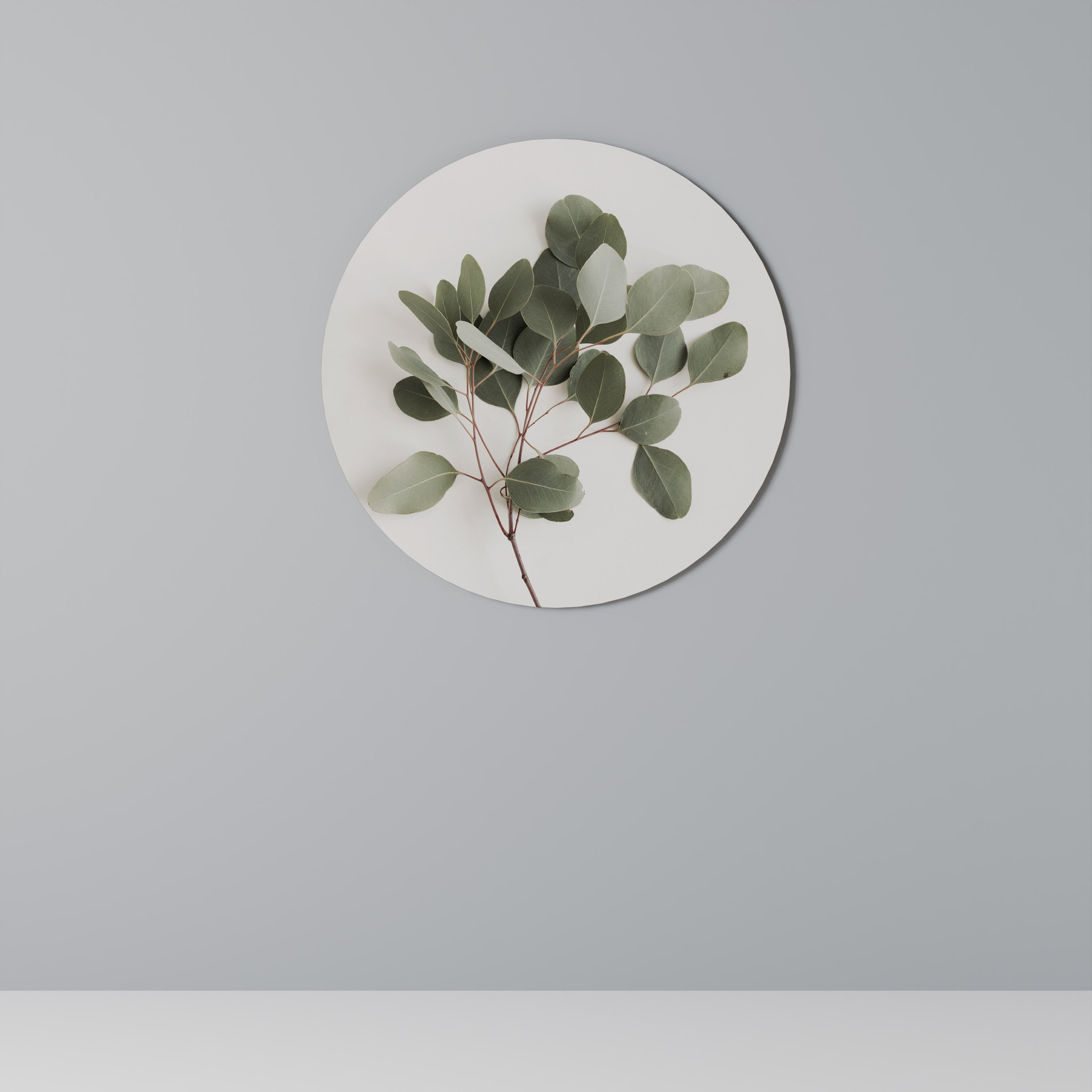 EUCALYPTUS BRANCH Round Wall Art