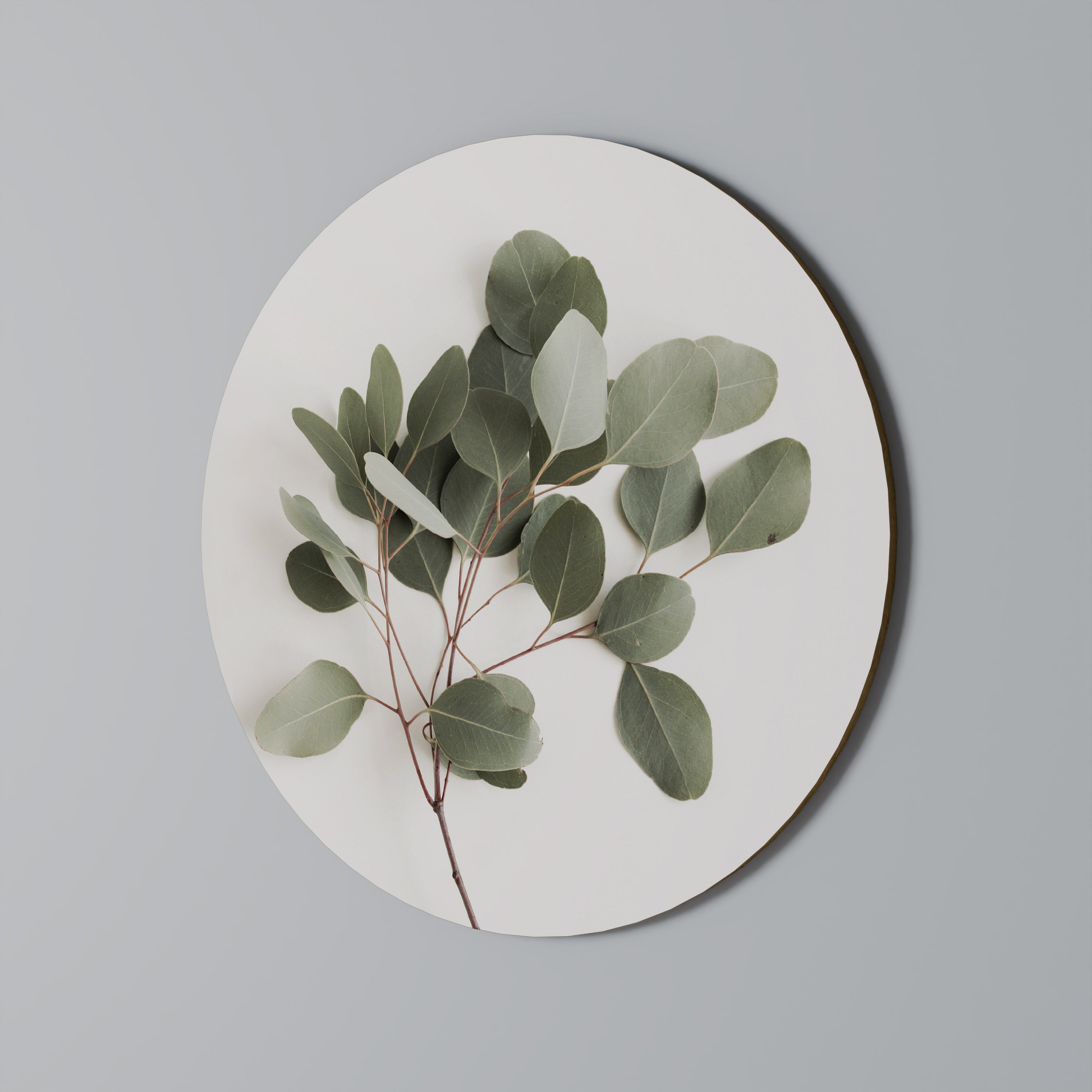 EUCALYPTUS BRANCH Round Wall Art