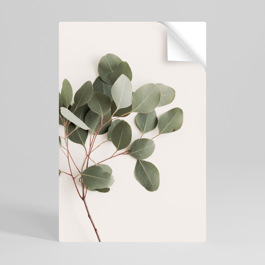 EUCALYPTUS BRANCH Póster adhesivo vertical