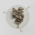 TIMELESS GREENERY Coffee Table 60