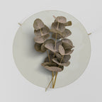 Mesa de centro TIMELESS GREENERY 69