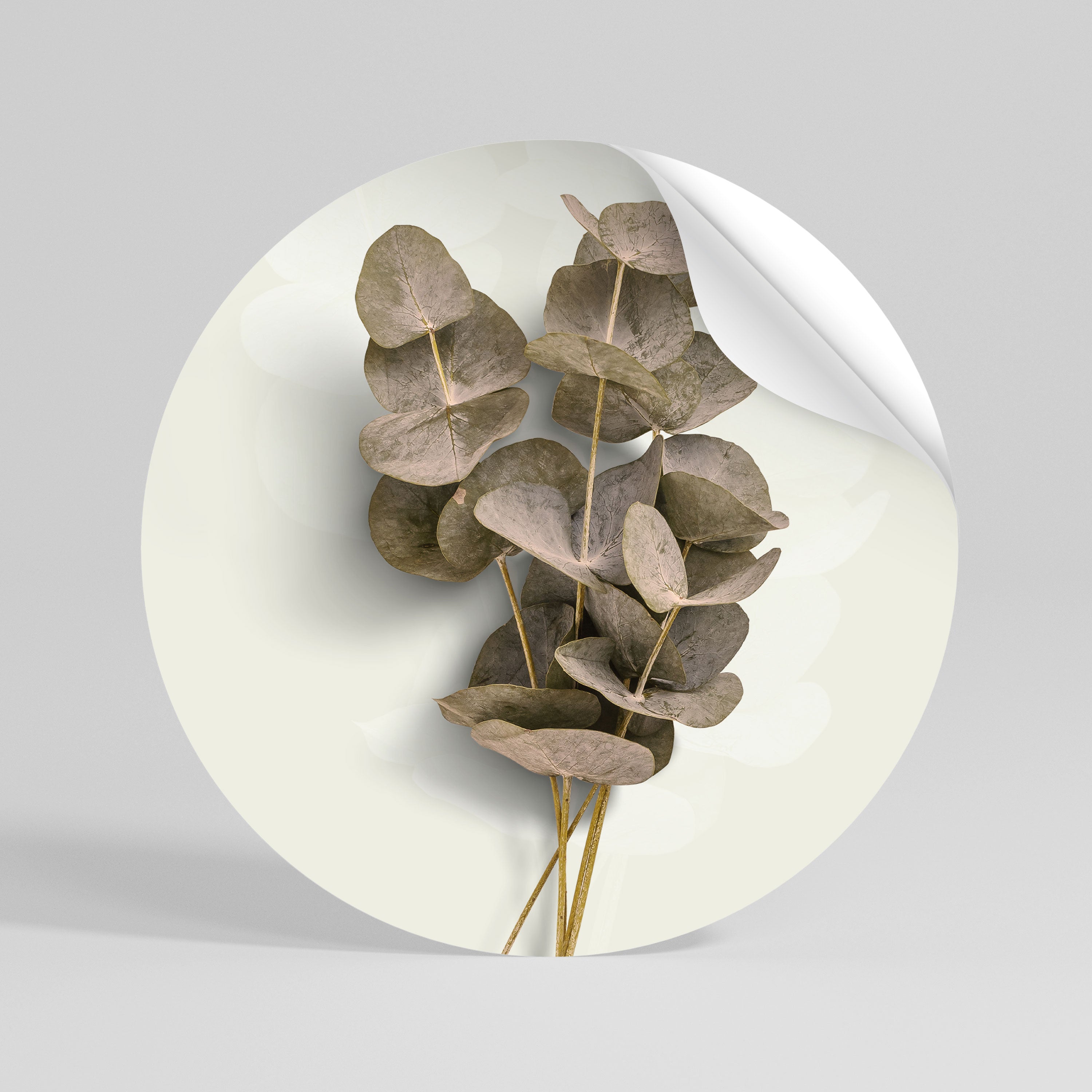 TIMELESS GREENERY Vinilo adhesivo redondo