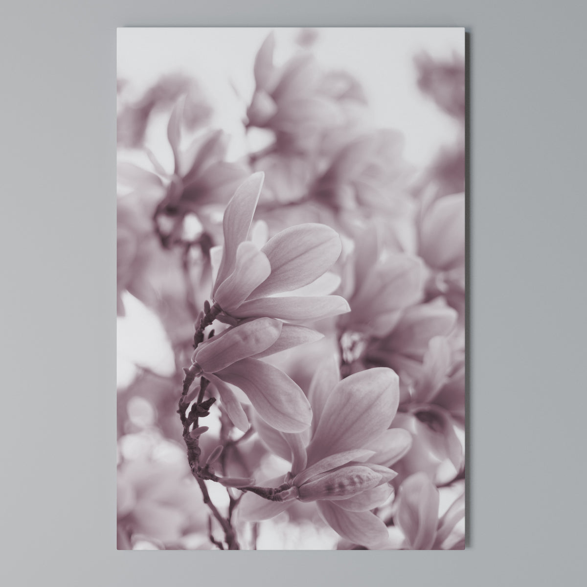 PINK BLOSSOM DREAM Cuadro en lienzo vertical