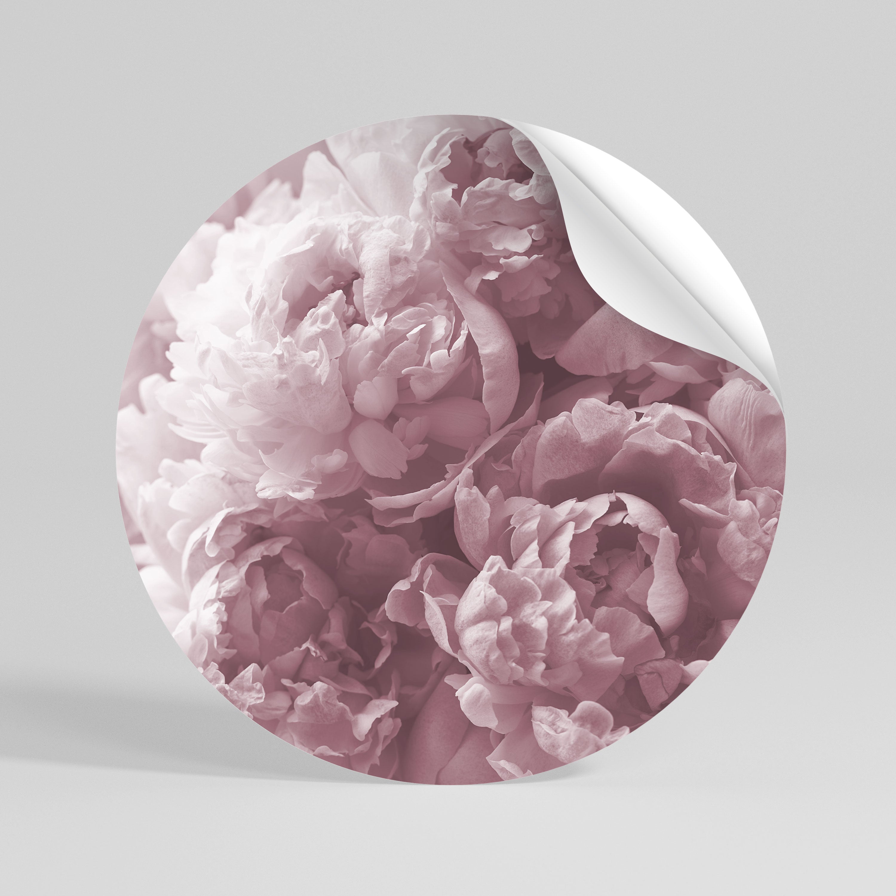 BLUSHED SERENITY Vinilo adhesivo redondo