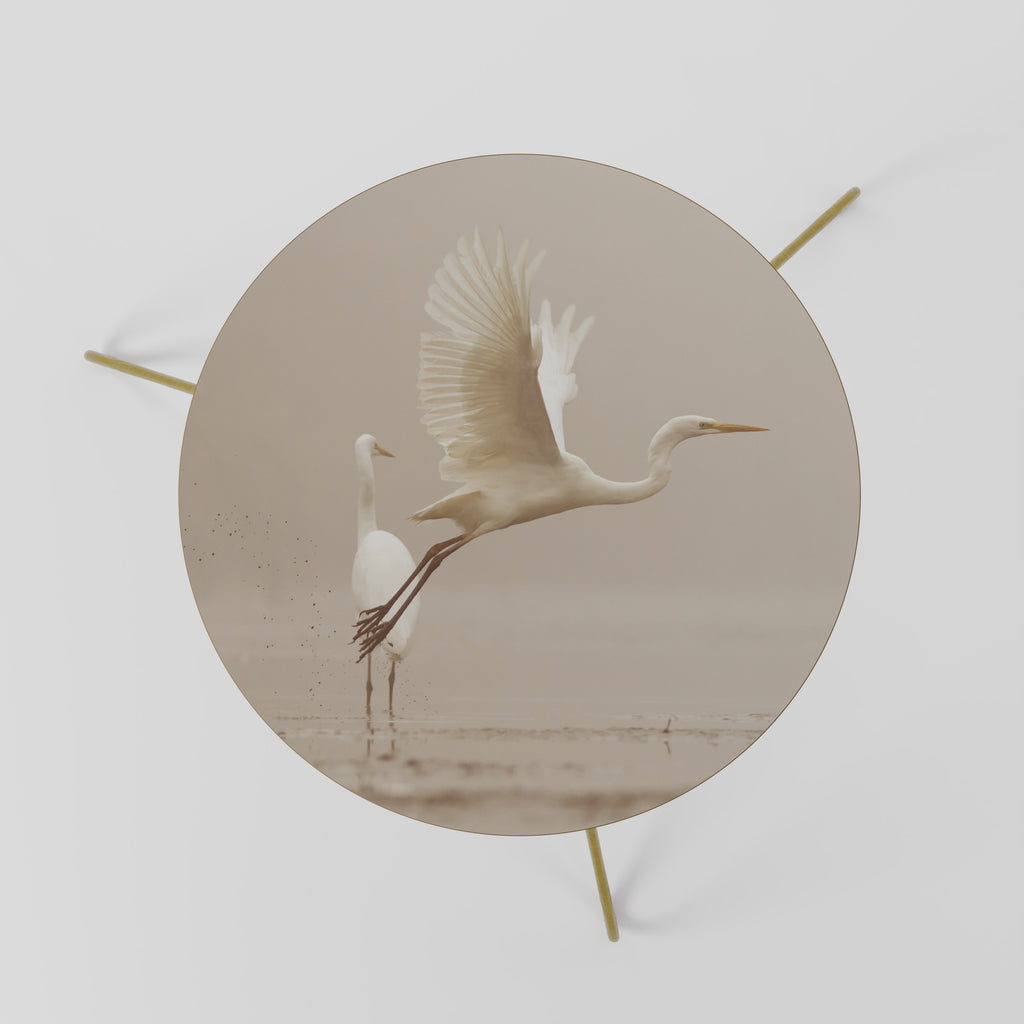 ELEGANT ASCENT Coffee Table 60