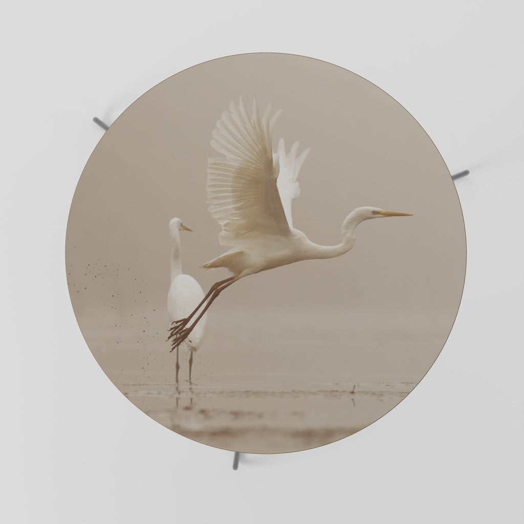 Mesa de centro ELEGANT ASCENT 69