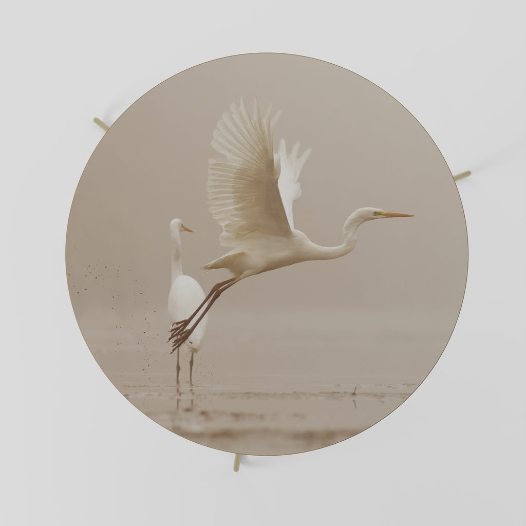 Mesa de centro ELEGANT ASCENT 69