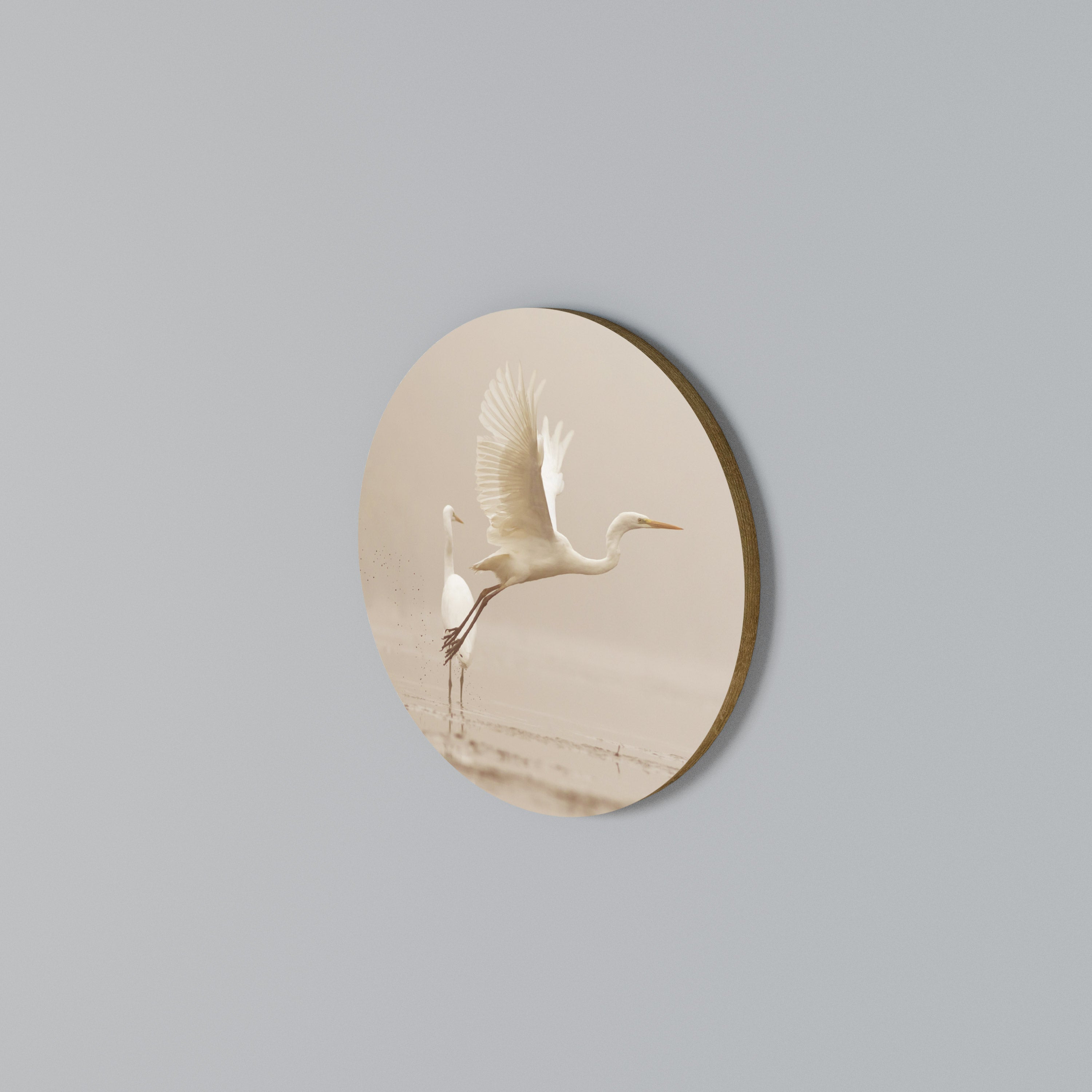 ELEGANT ASCENT Round Wall Art