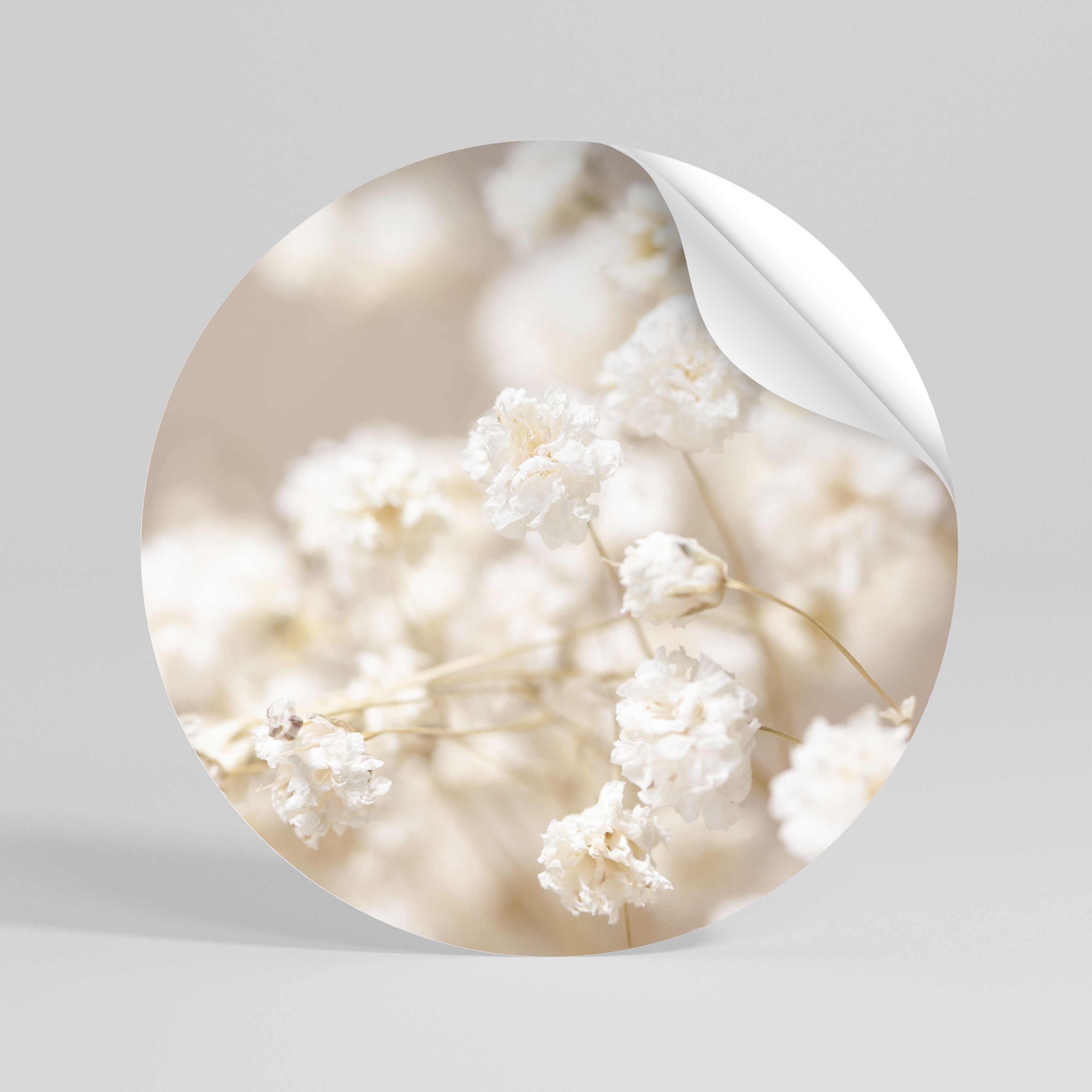 GHOSTLY BLOOM Vinilo adhesivo redondo