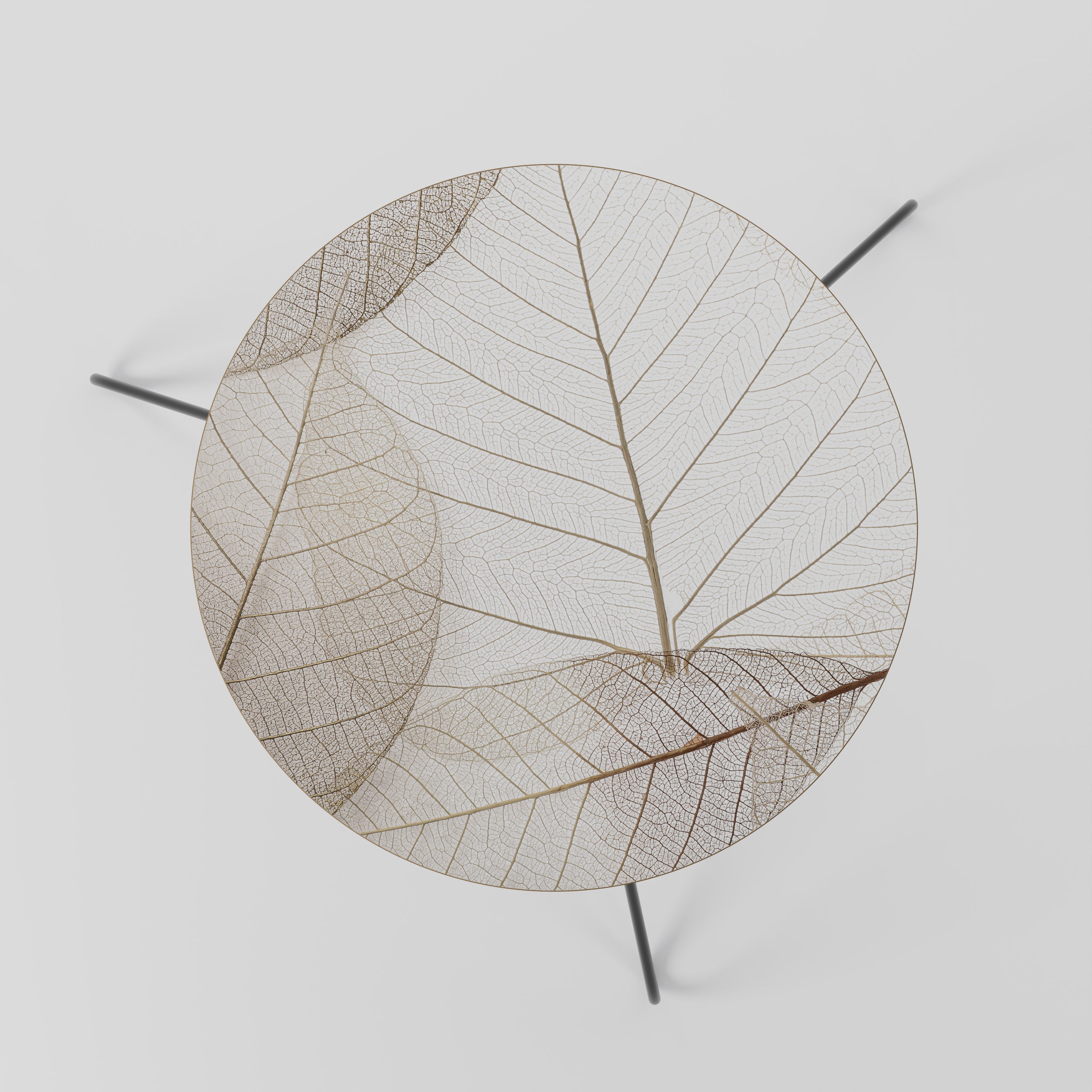 ETHEREAL VEINED GRACE Coffee Table 60