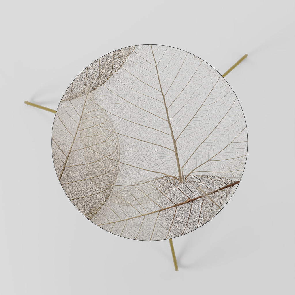 ETHEREAL VEINED GRACE Coffee Table 60