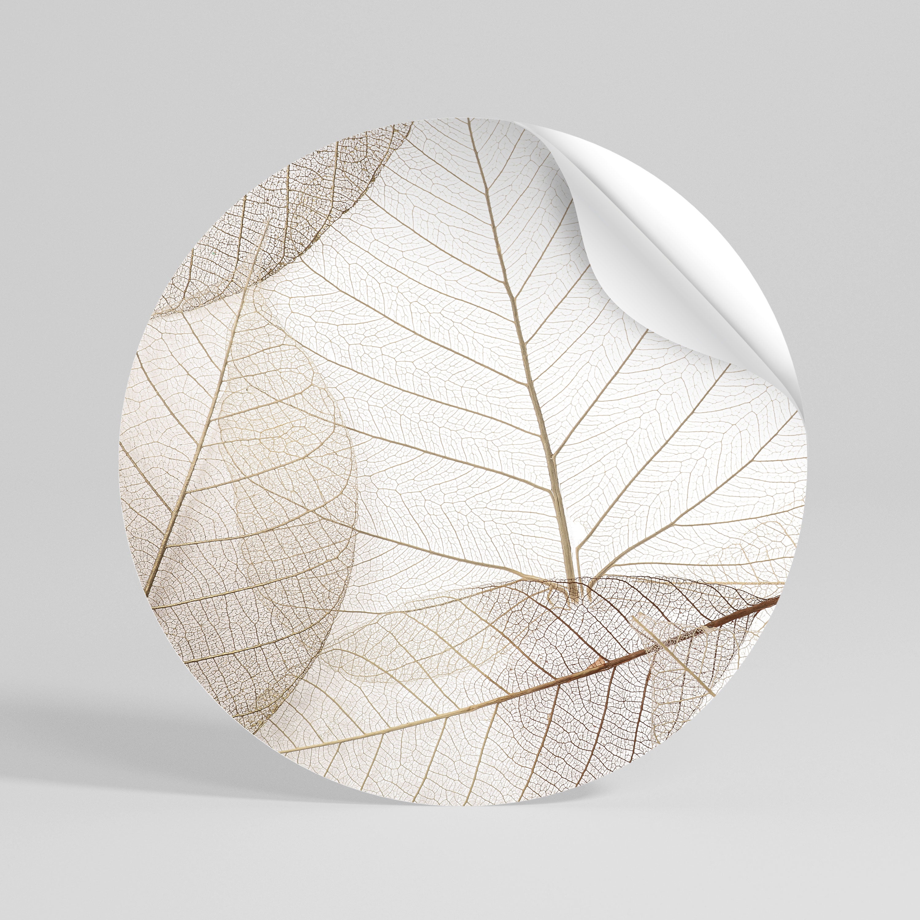 ETHEREAL VEINED GRACE Vinilo adhesivo redondo