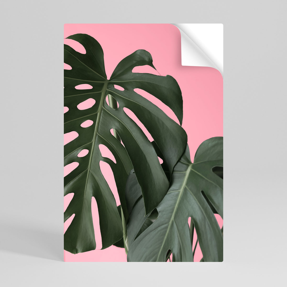 LADY MONSTERA Póster adhesivo vertical