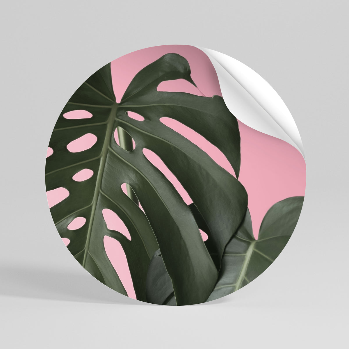 LADY MONSTERA Vinilo adhesivo redondo