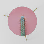 MISTER CACTUS Coffee Table 60