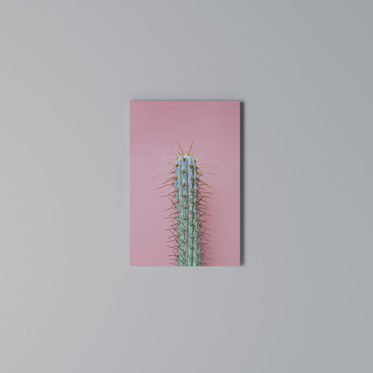 MISTER CACTUS Cuadro en lienzo vertical