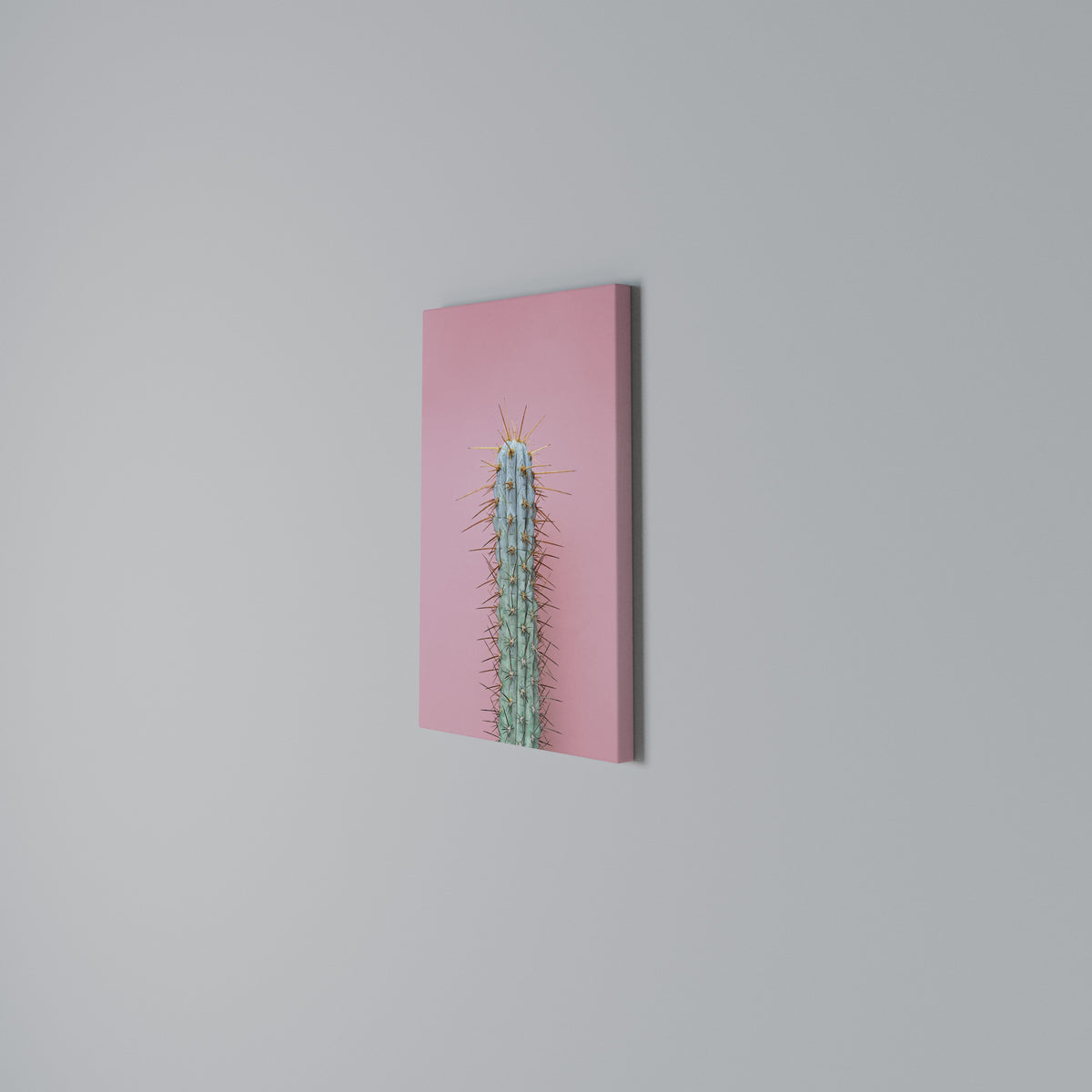 MISTER CACTUS Cuadro en lienzo vertical
