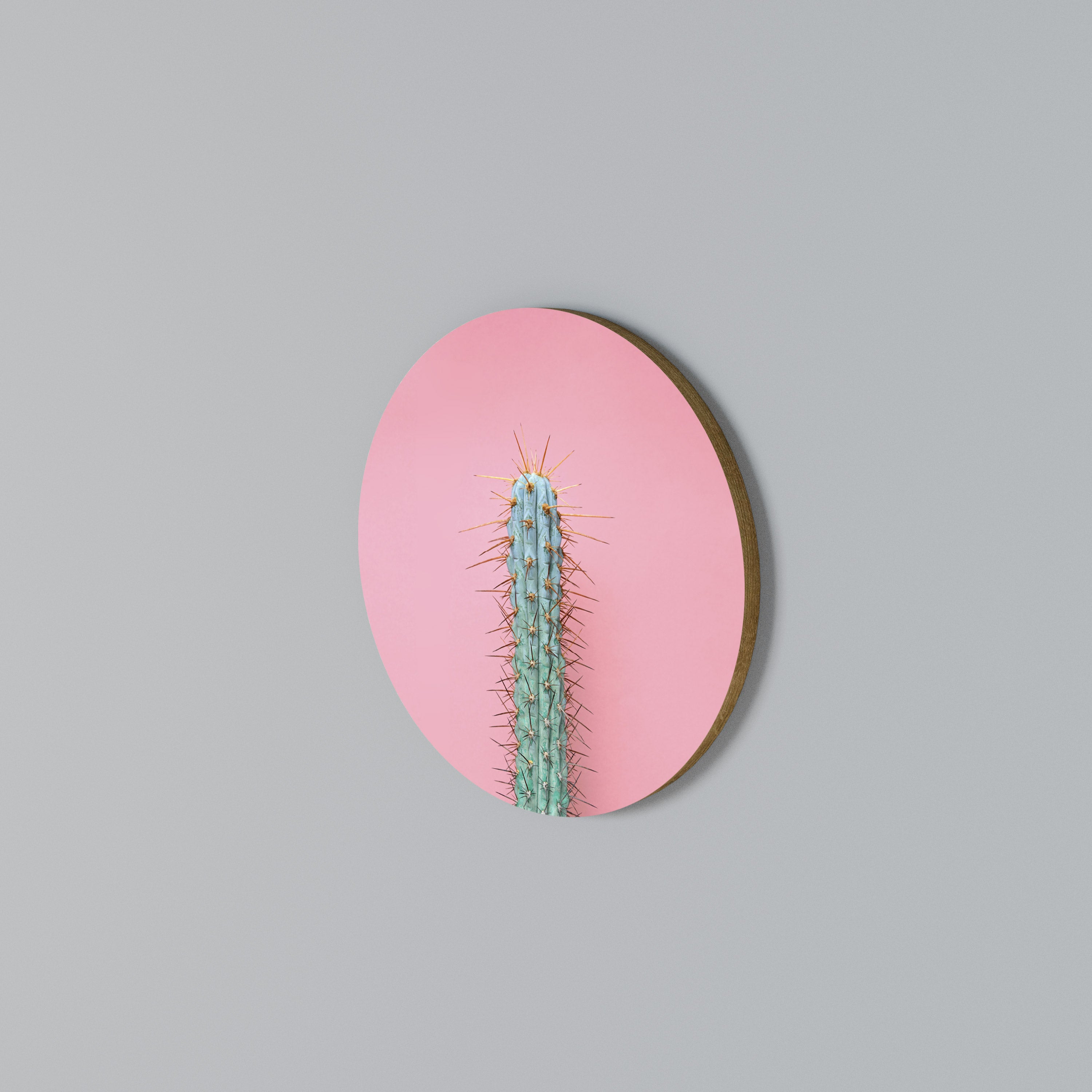 MISTER CACTUS Round Wall Art