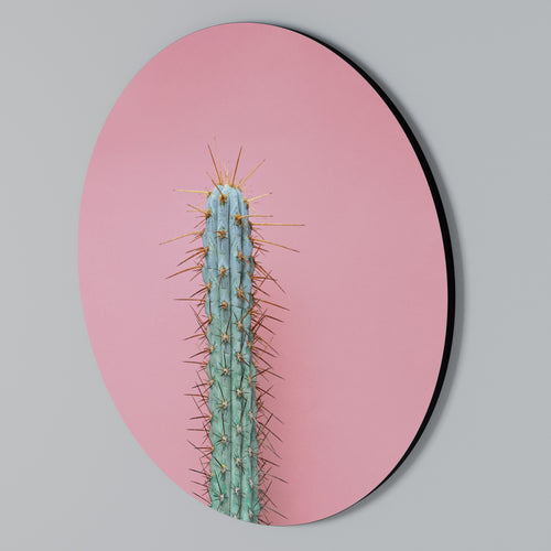 MISTER CACTUS Arte de pared redondo
