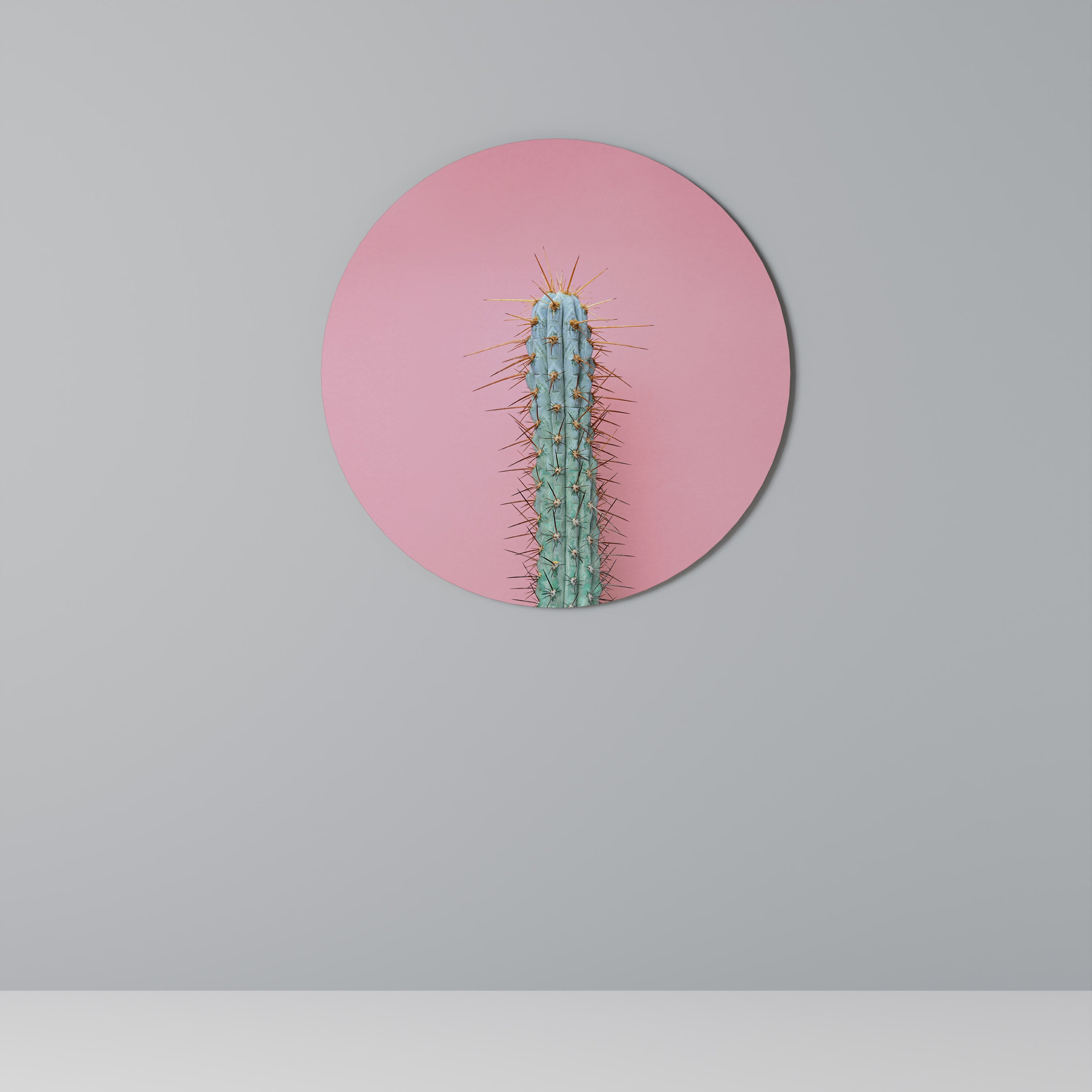 MISTER CACTUS Round Wall Art