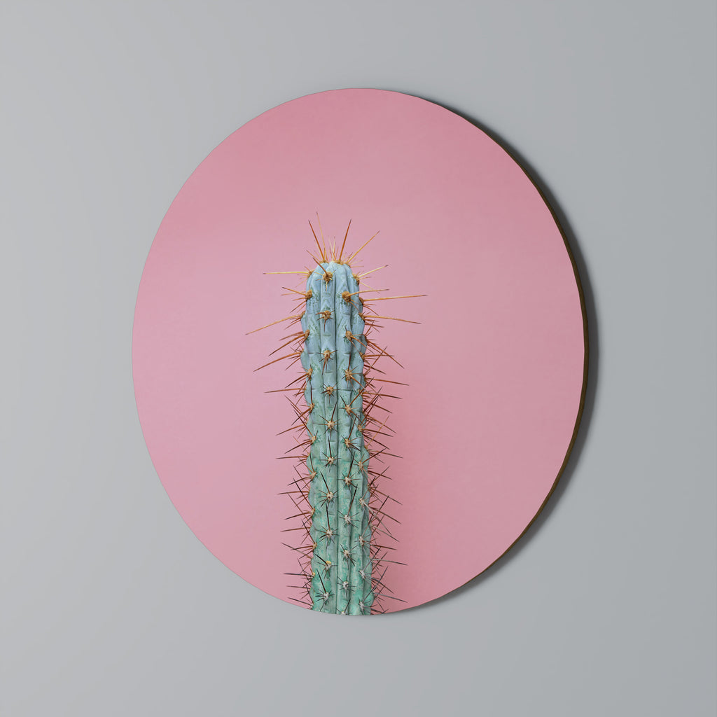 MISTER CACTUS Round Wall Art