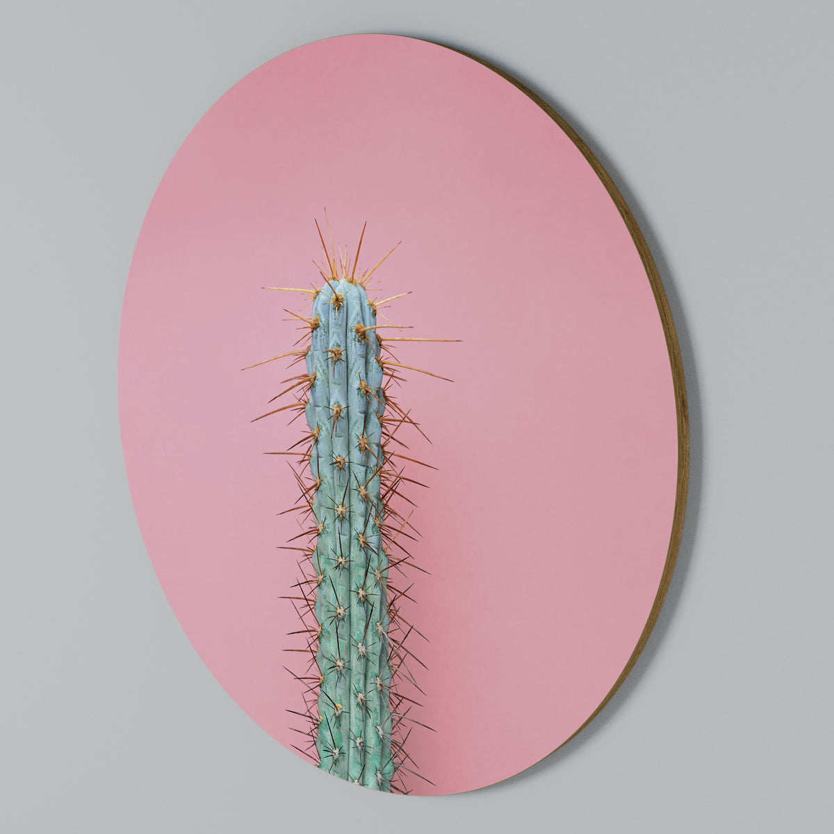 MISTER CACTUS Arte de pared redondo