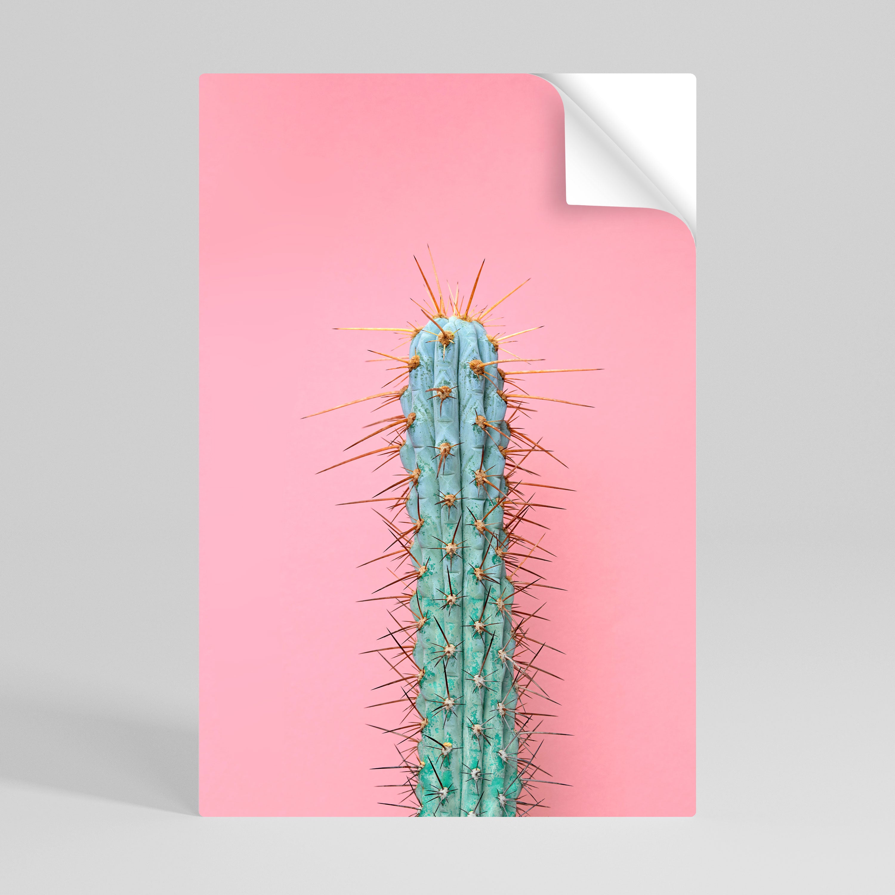 MISTER CACTUS Póster adhesivo vertical