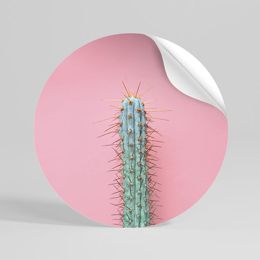 MISTER CACTUS Vinilo adhesivo redondo
