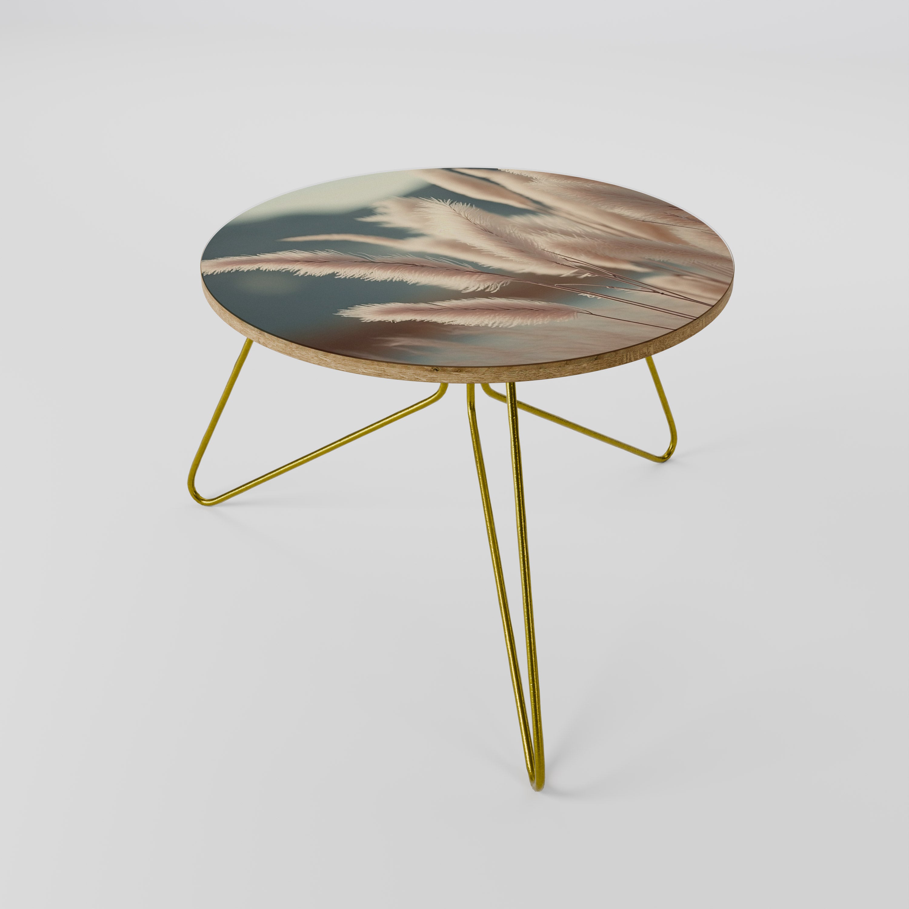 PAMPAS DREAMSCAPE Coffee Table 60