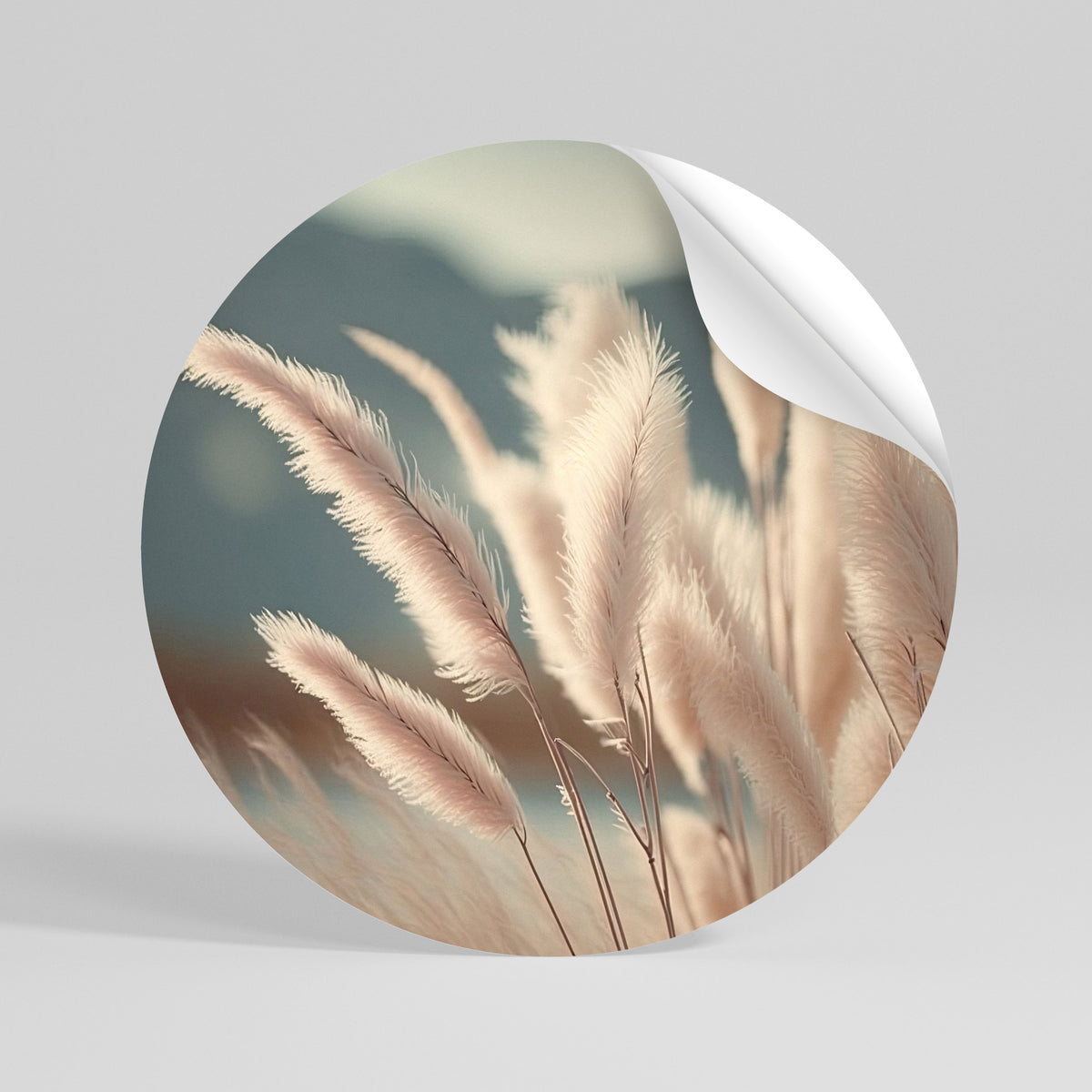 PAMPAS DREAMSCAPE Vinilo adhesivo redondo