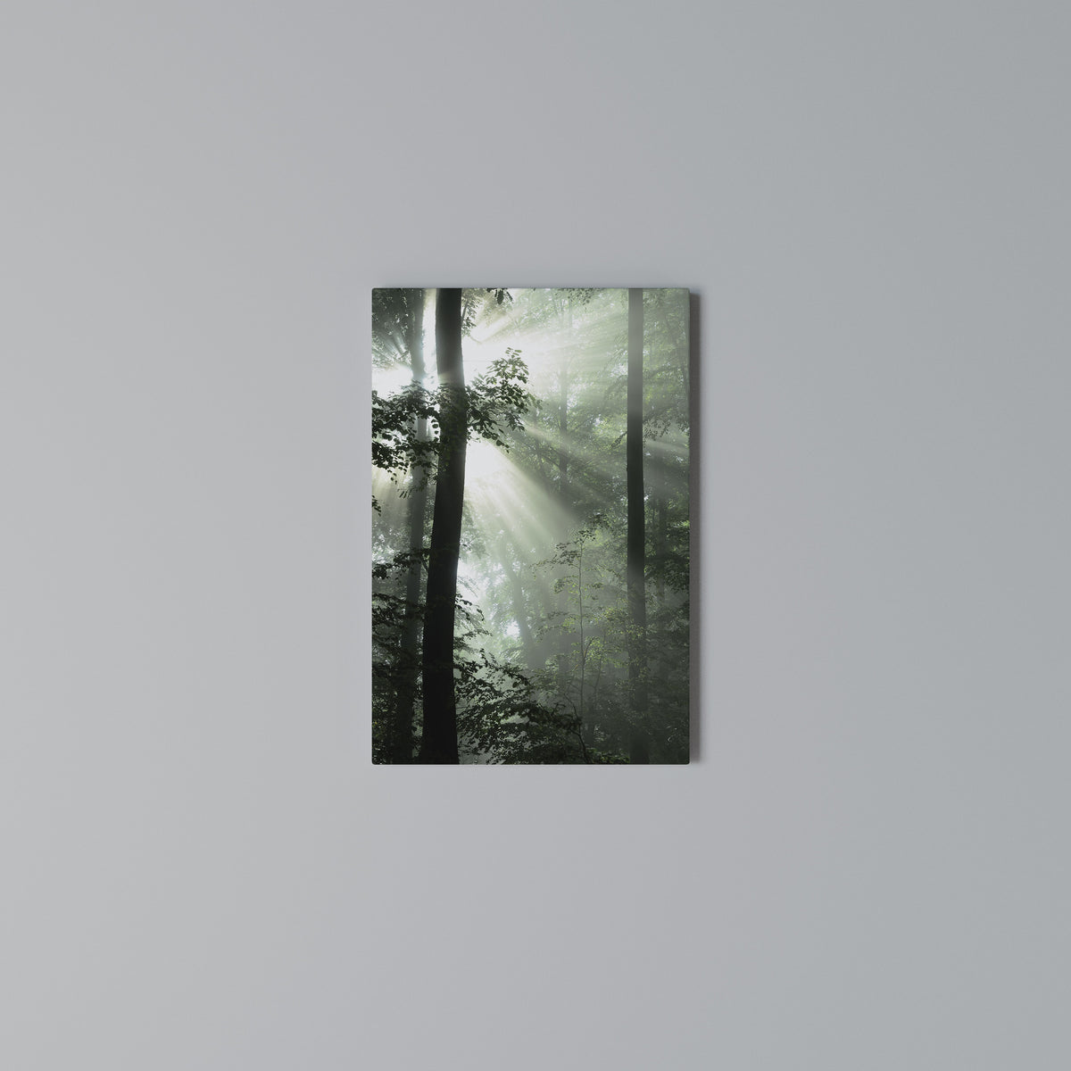 MYSTICAL SUNBEAMS Cuadro en lienzo vertical