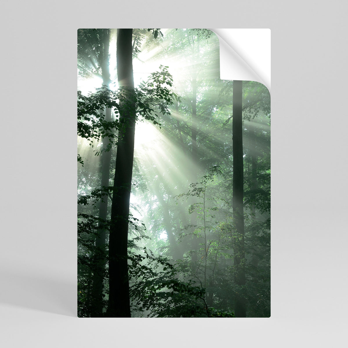 MYSTICAL SUNBEAMS Póster adhesivo vertical