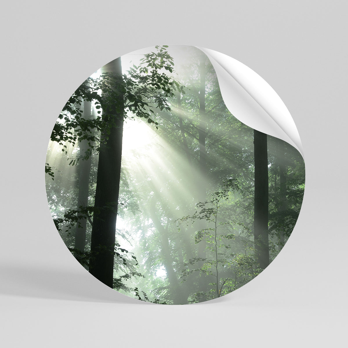 MYSTICAL SUNBEAMS Vinilo adhesivo redondo