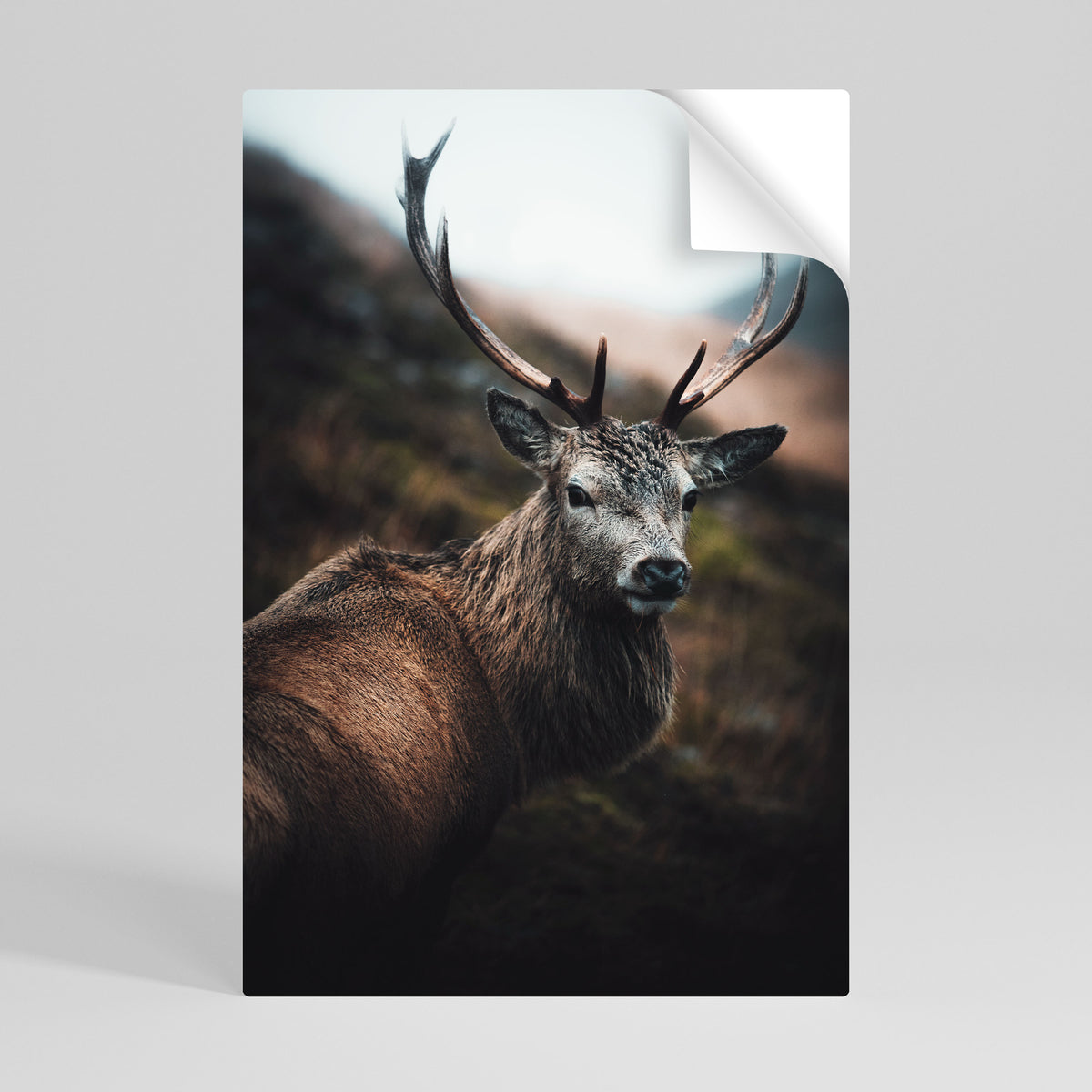 ELEGANT WILDERNESS GUARDIAN Póster adhesivo vertical