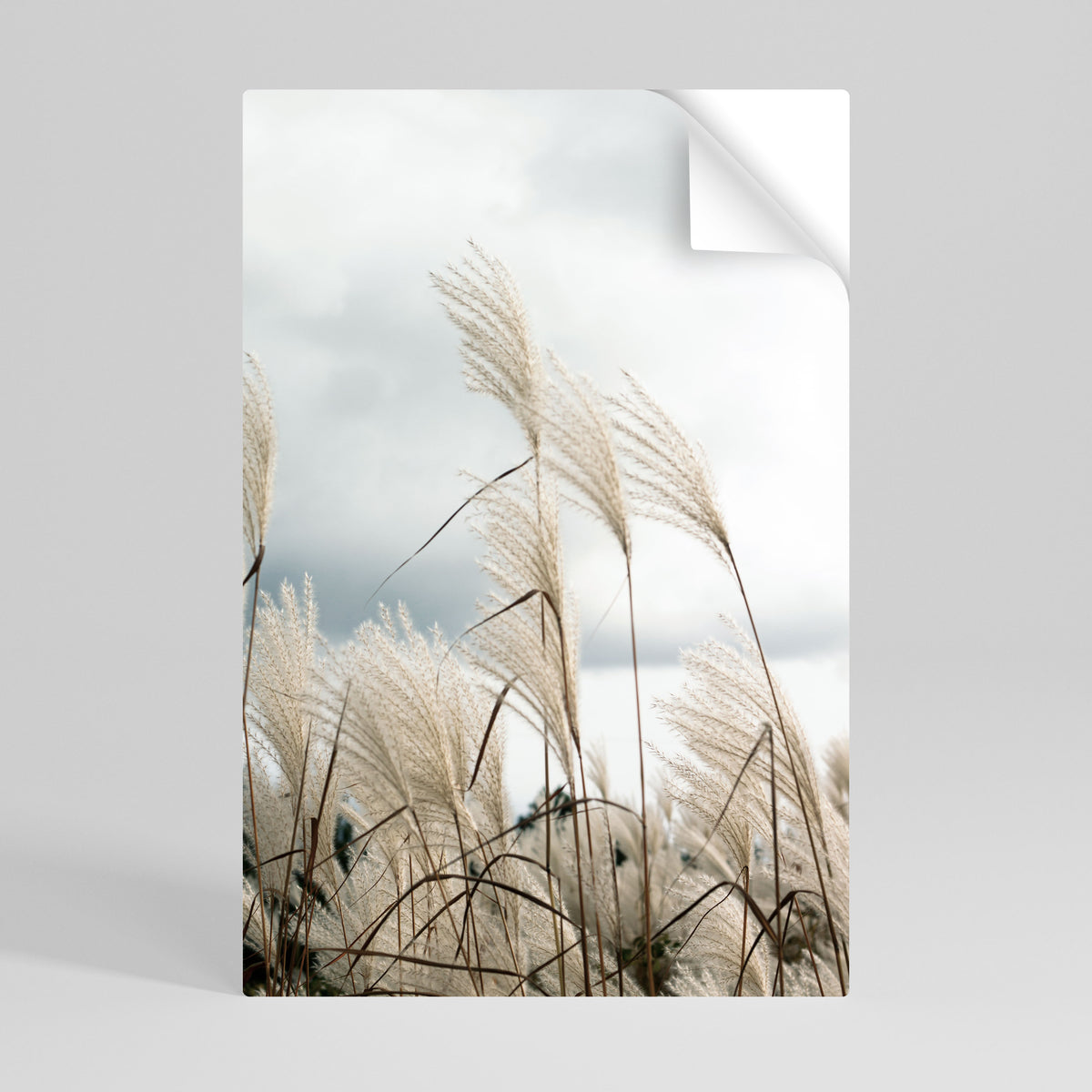CLOUDS ABOVE GRASS Póster adhesivo vertical