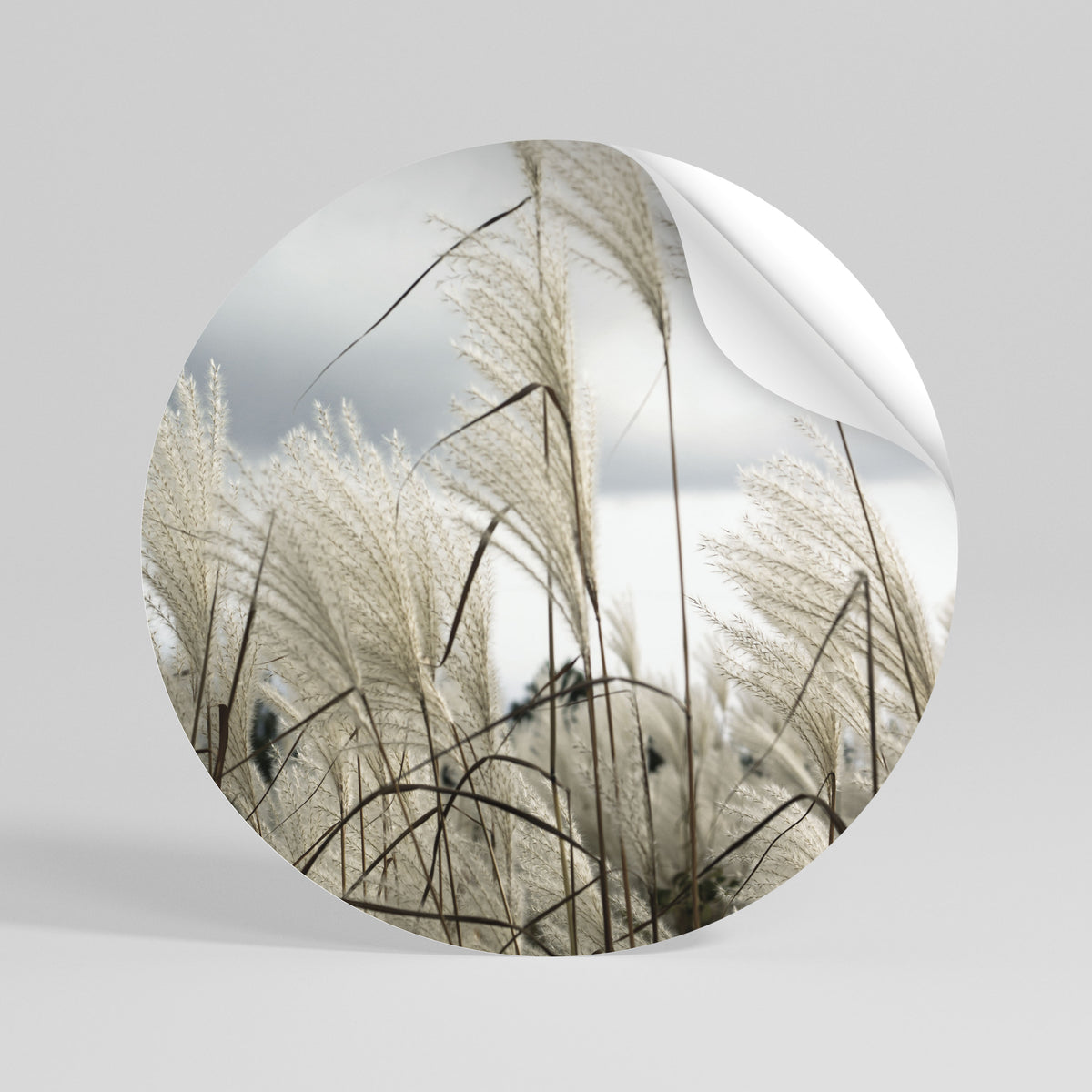 CLOUDS ABOVE GRASS Vinilo adhesivo redondo