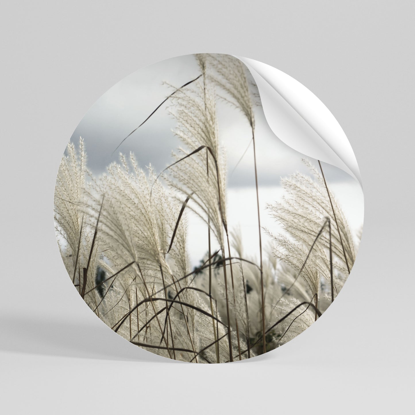 CLOUDS ABOVE GRASS Vinilo adhesivo redondo