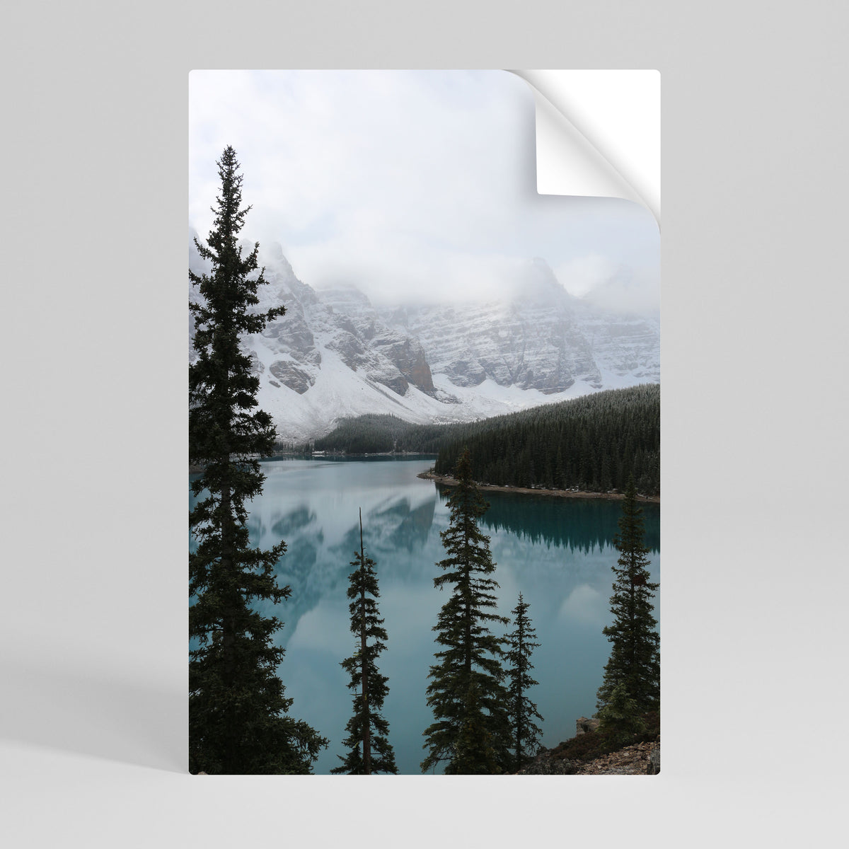 MISTY FOREST BOUNDARIES Póster adhesivo vertical