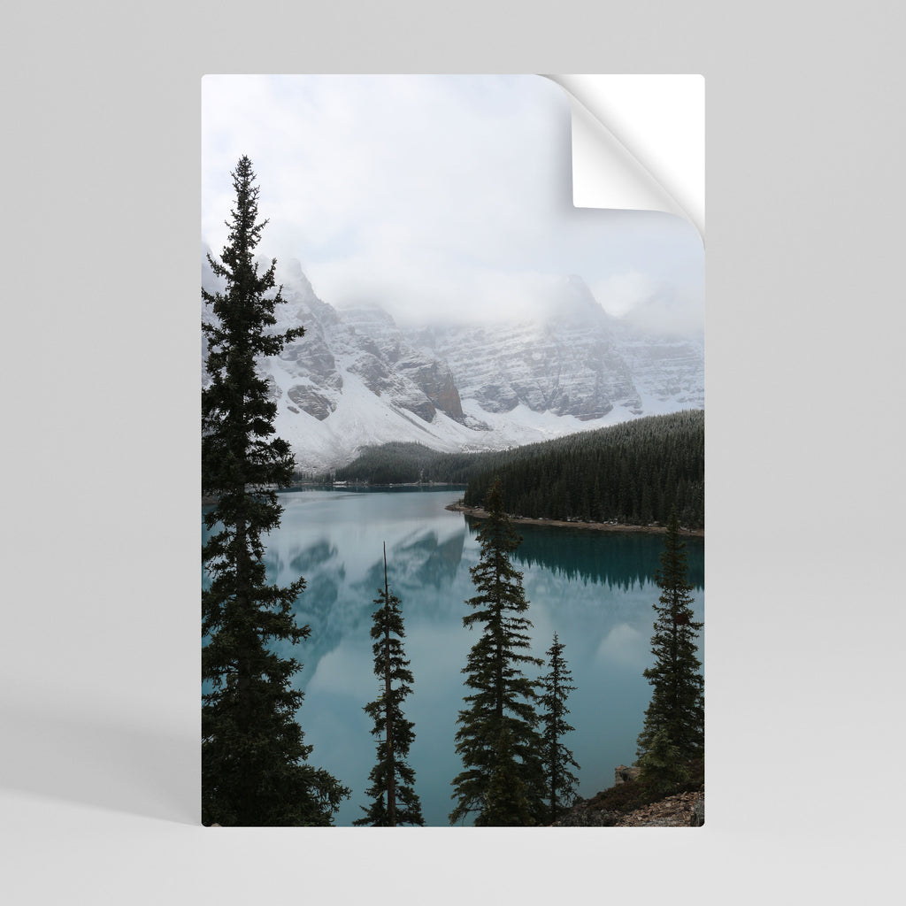 Póster vertical autoadhesivo Misty Forest Booundaries