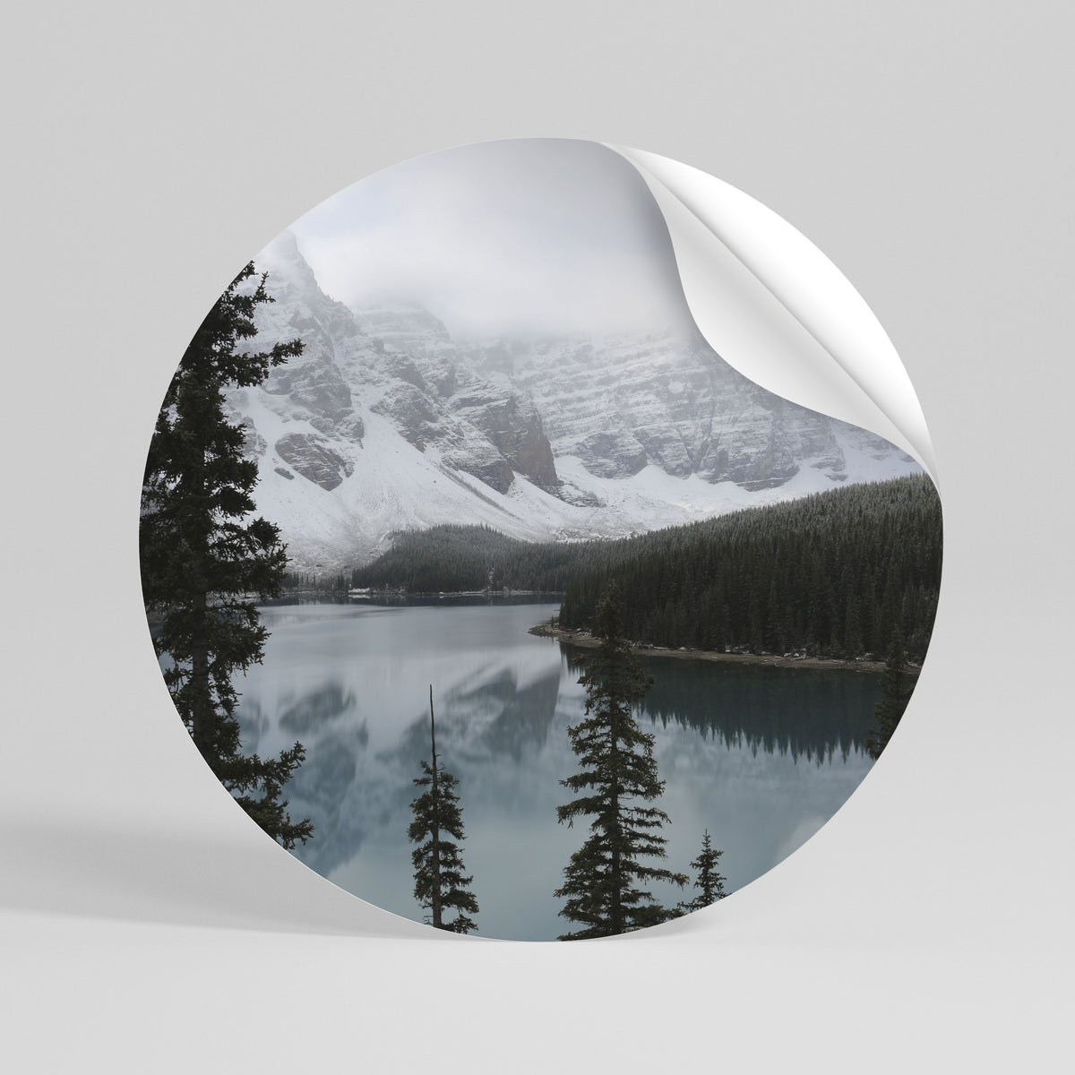 MISTY FOREST BOUNDARIES Vinilo adhesivo redondo