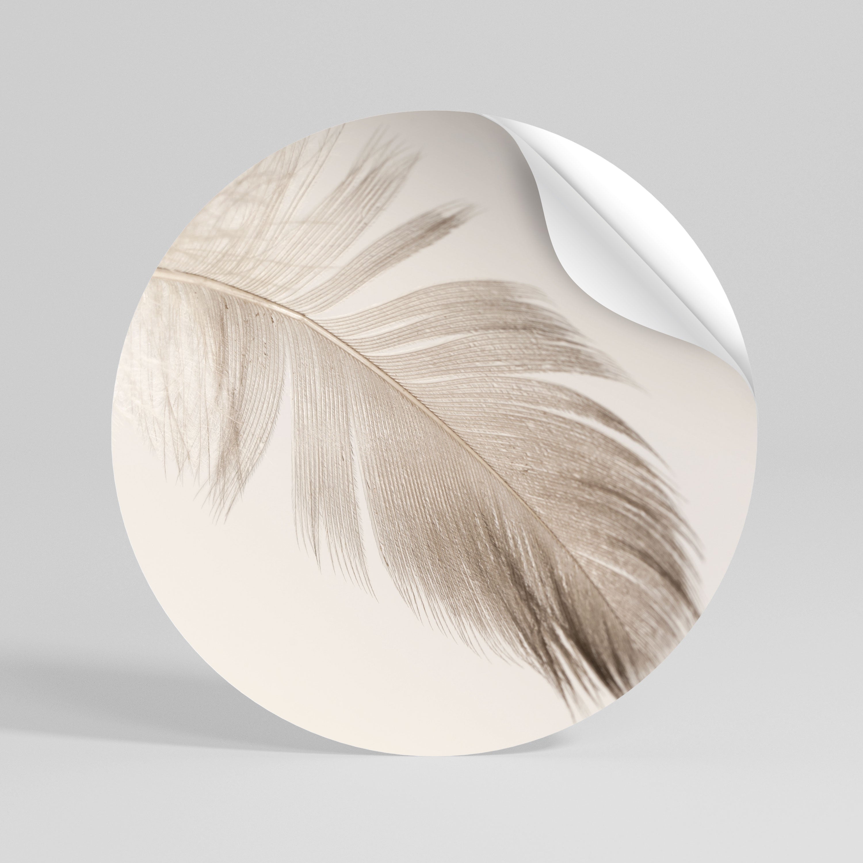 GRACEFULNESS PRECISION Vinilo adhesivo redondo